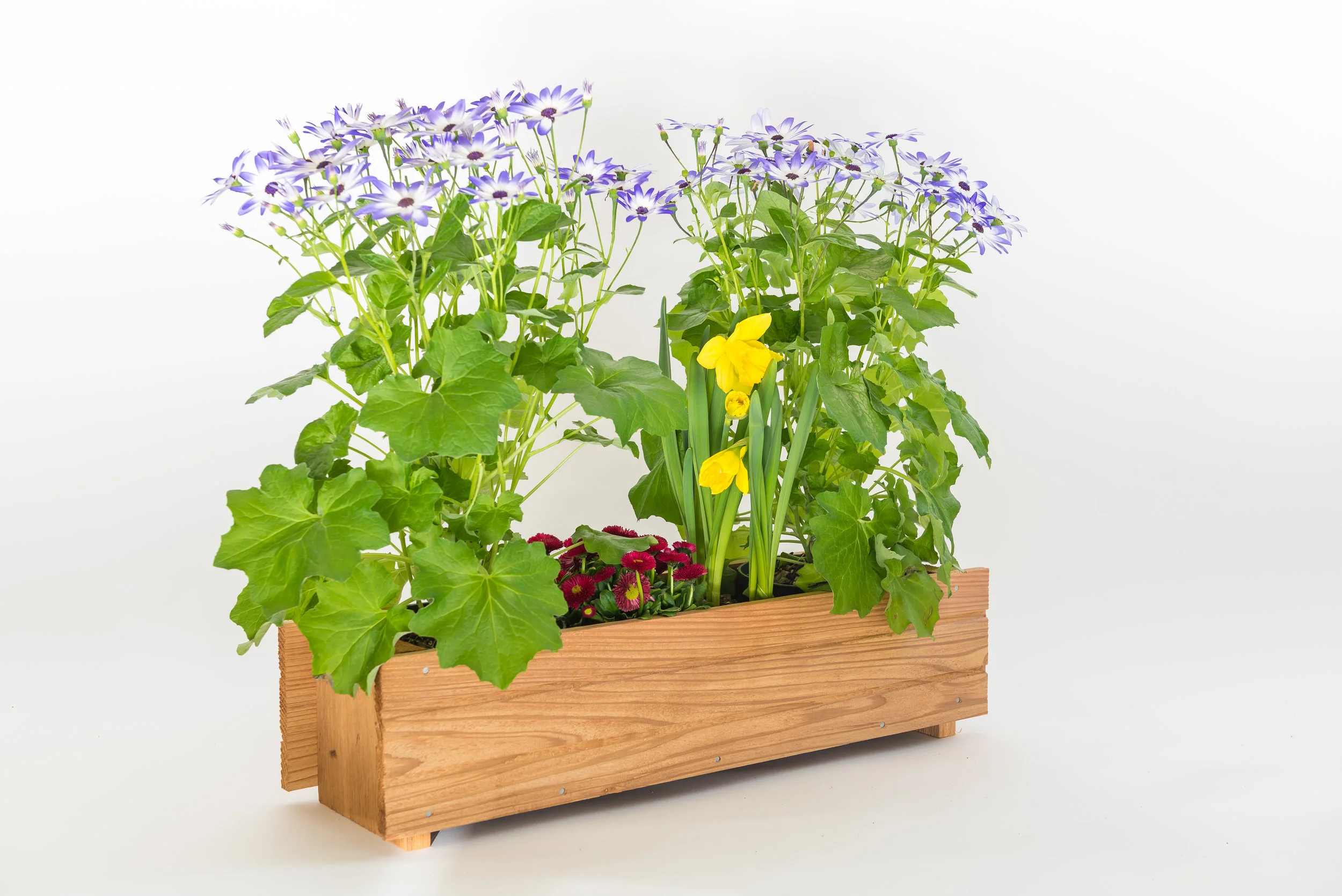window box dimensions: 7”x23”x6”