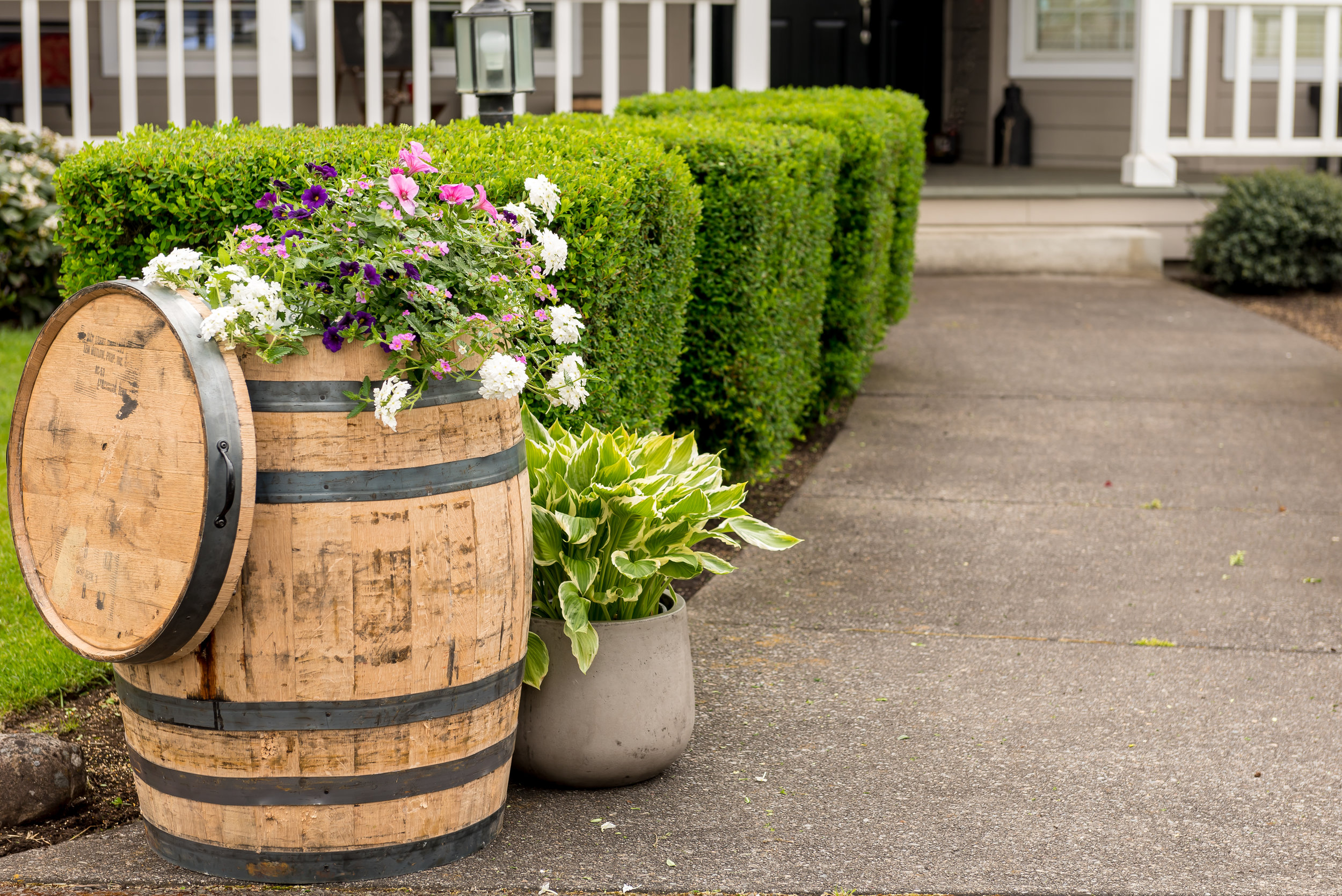  oak whiskey barrel whole dimensions 27”x36” 