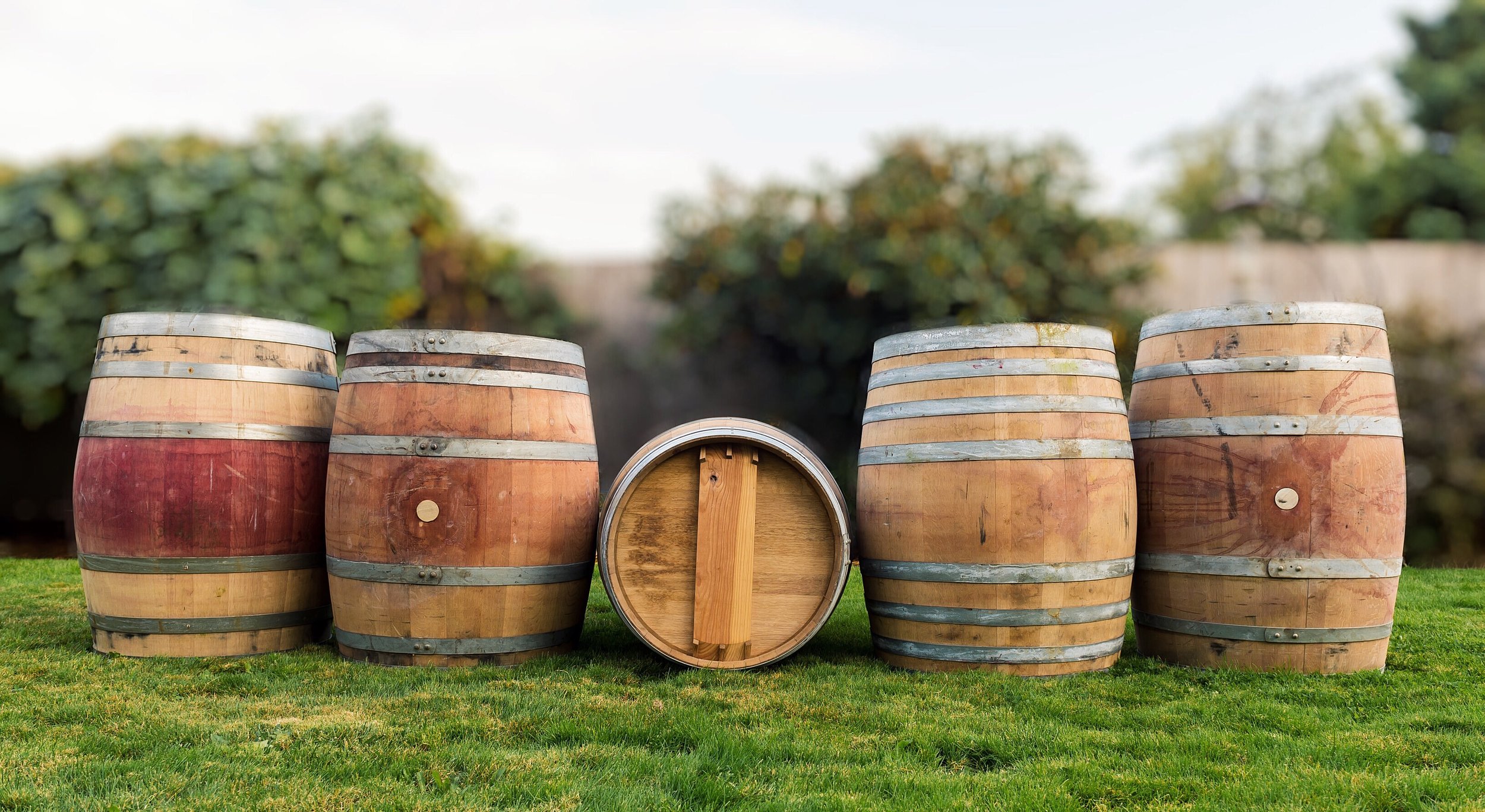 Real Wood - Lawn and Garden - Oak Barrels - Whole Oak Wine B120 - Group Shot.JPG