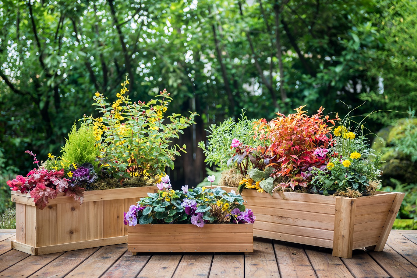 <strong>Cedar Planters</strong><p>See More »</p>