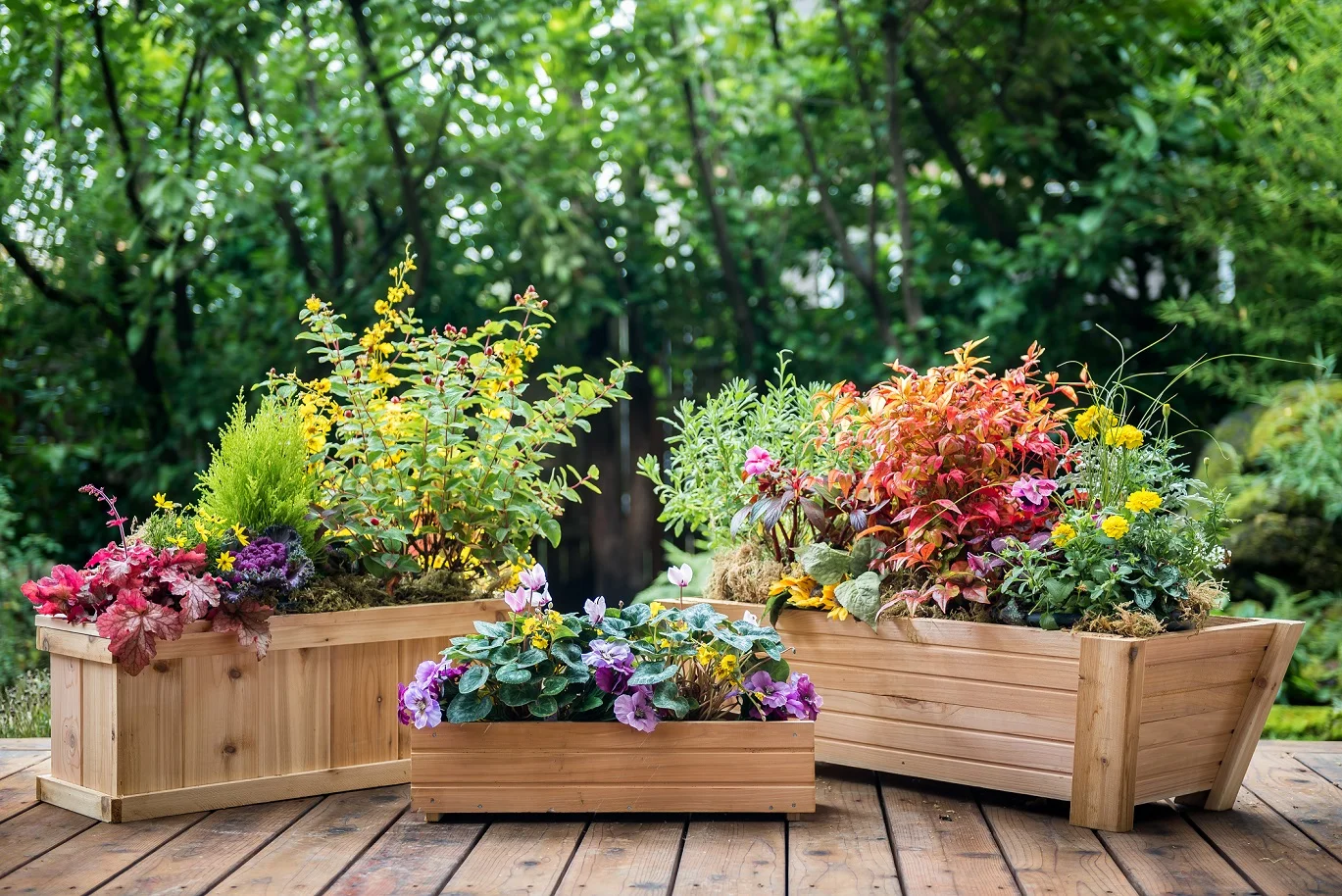 Real Wood - Lawn and Garden - Cedar Planters.jpg