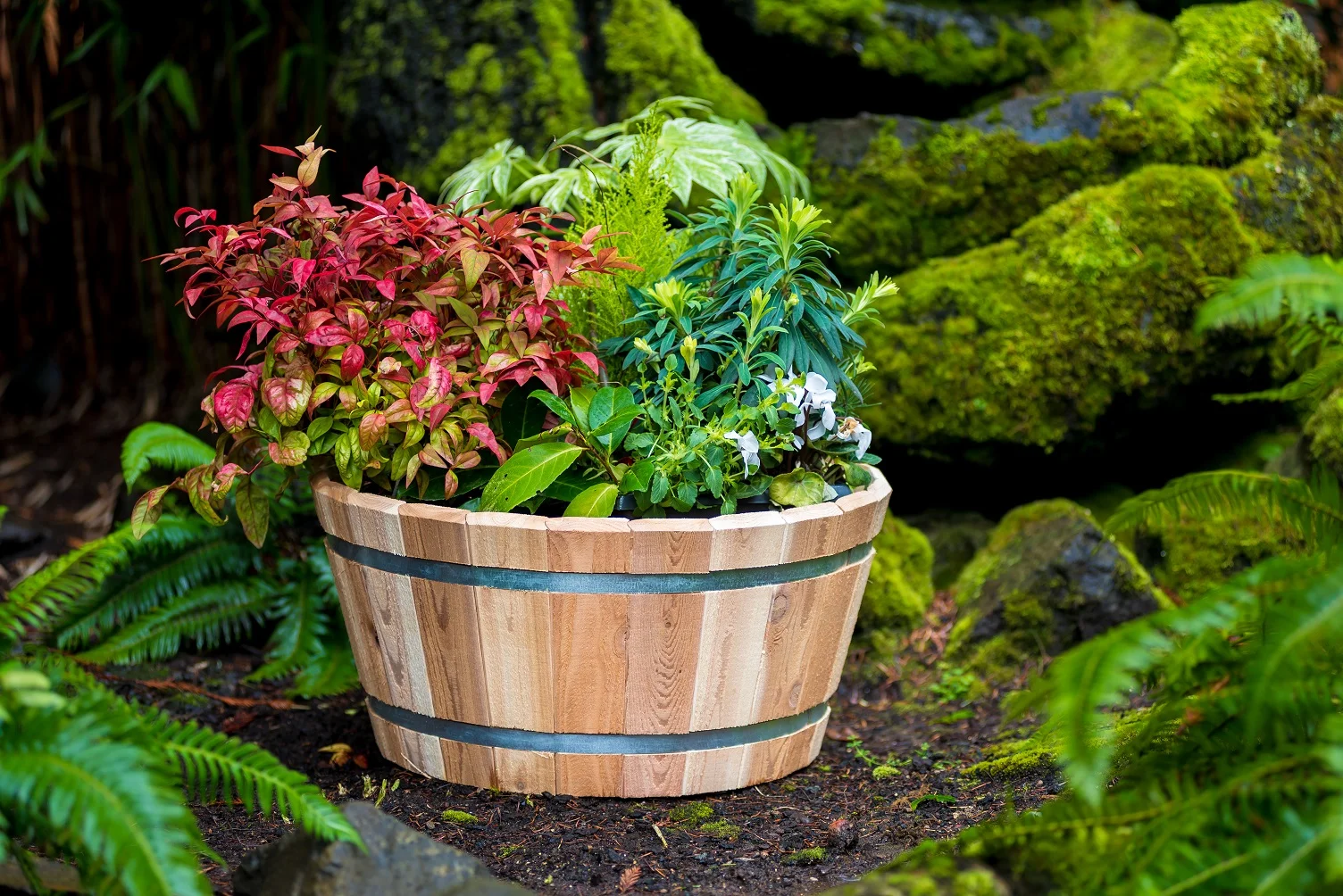 l Wood - Lawn and Garden - Cedar Planters - Tubs - G3004 - Application (Planted).jpg