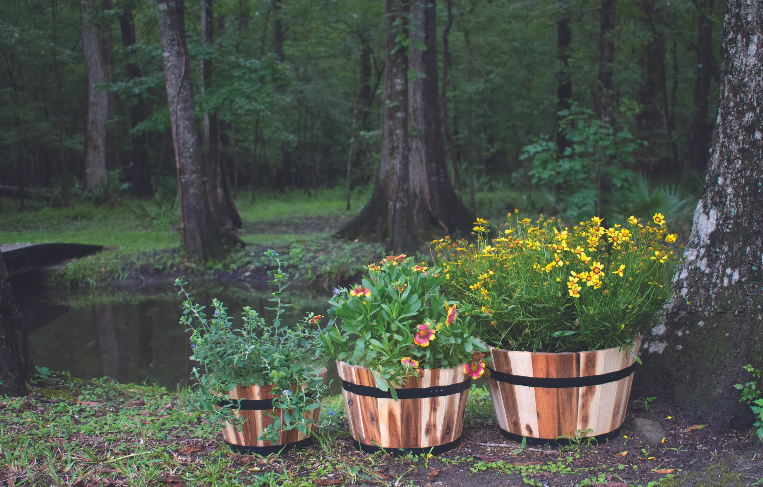 Real Wood - Lawn and Garden - Import Partners - Avera Line AWP304ST6 - Application (Planted).jpg