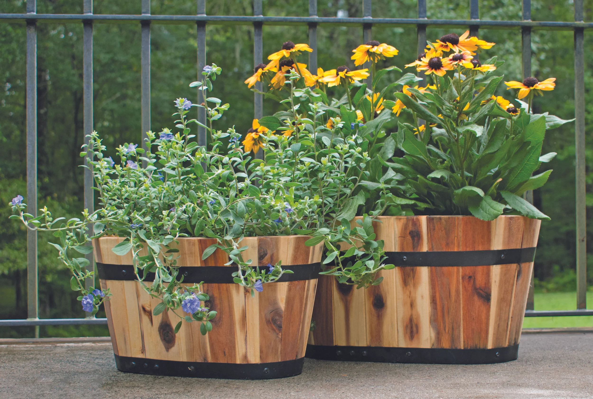 Real Wood - Lawn and Garden - Import Partners - Avera Line AWP301ST3 - Scene (Planted).jpg