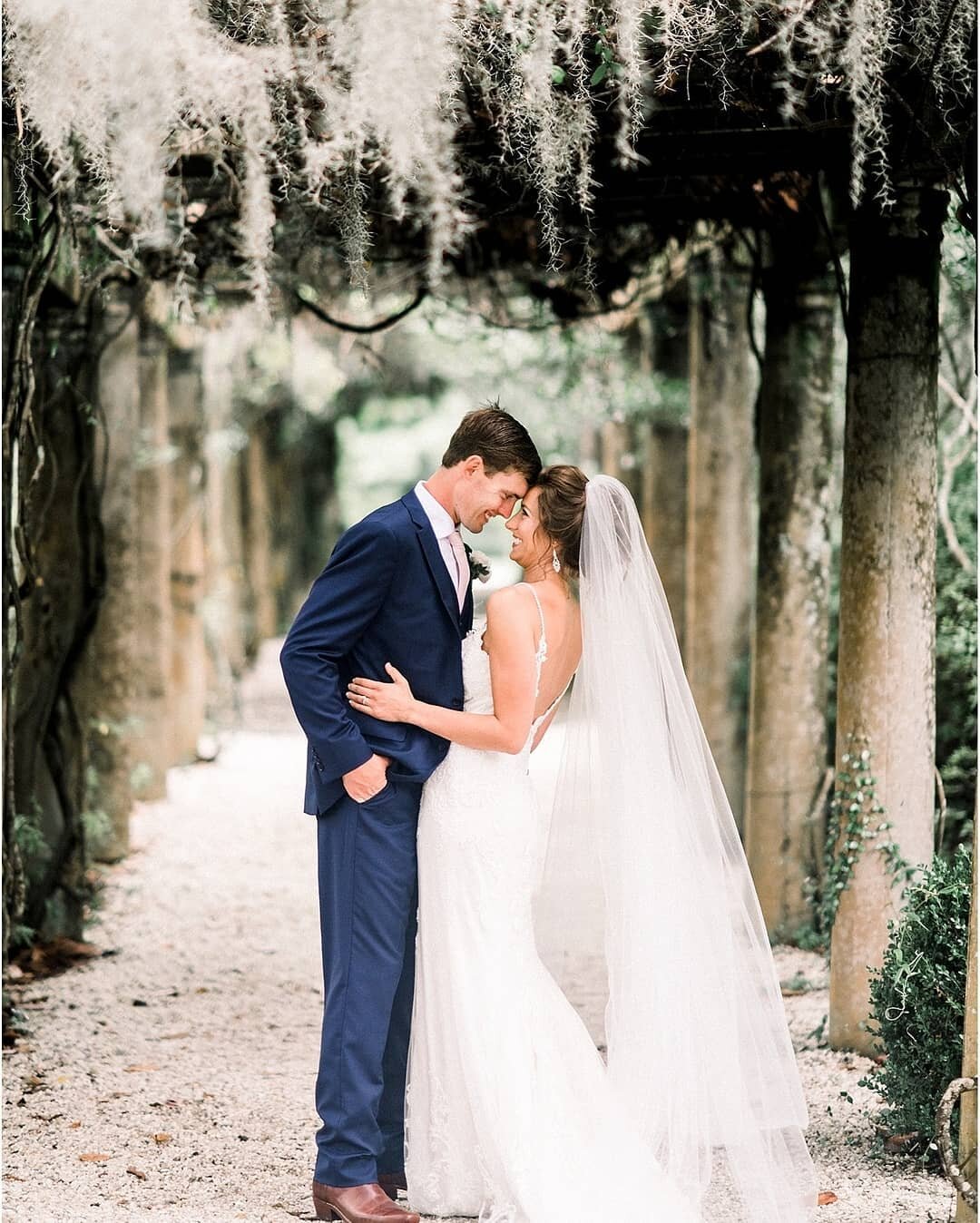 What's not to love about the Spanish moss and romantic lighting in the Pergola Garden at Airlie 😍
 . 
 . 
 . 
#wilmingtonweddings #weddingplanner #airliegardens #pergolagarden #airlieweddings #brideandgroom #weddingday #bubblyeventsnc #bubblyevents 