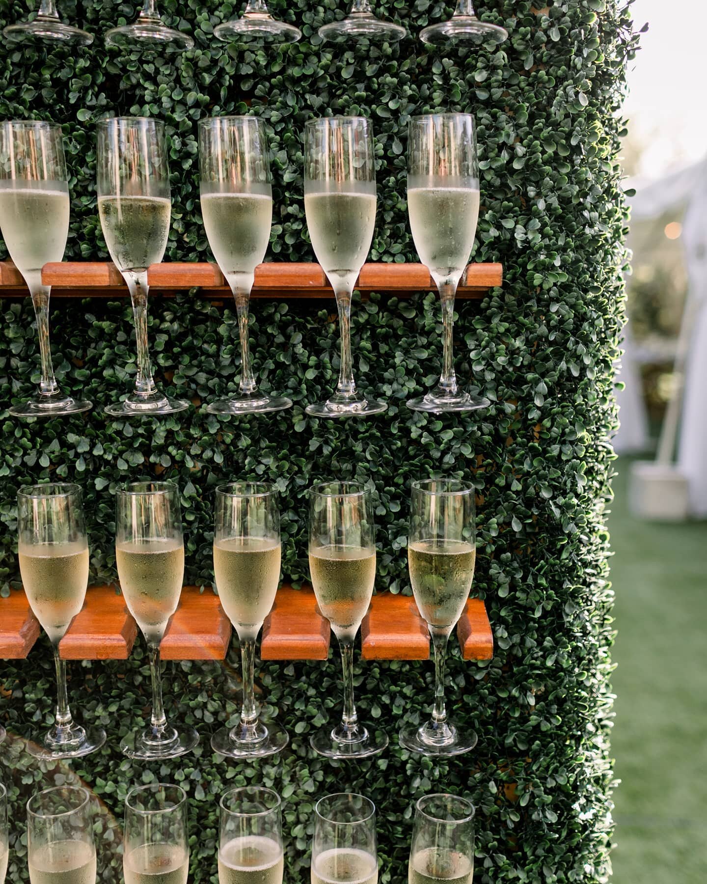 I'm looking for the next Bubbly team member(s)! DM me for a link to a google form to give me your information! 
 . 
 . 
 . 
#wilmingtonweddings #weddingplanner #bubblyeventsnc #bubblyevents #champagnewall