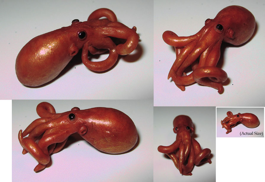 "Tiny Octopus"