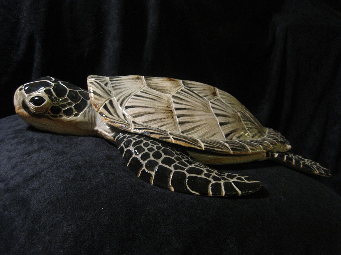 "Sea Turtle"