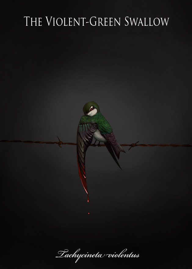 "The Violent Green Swallow"