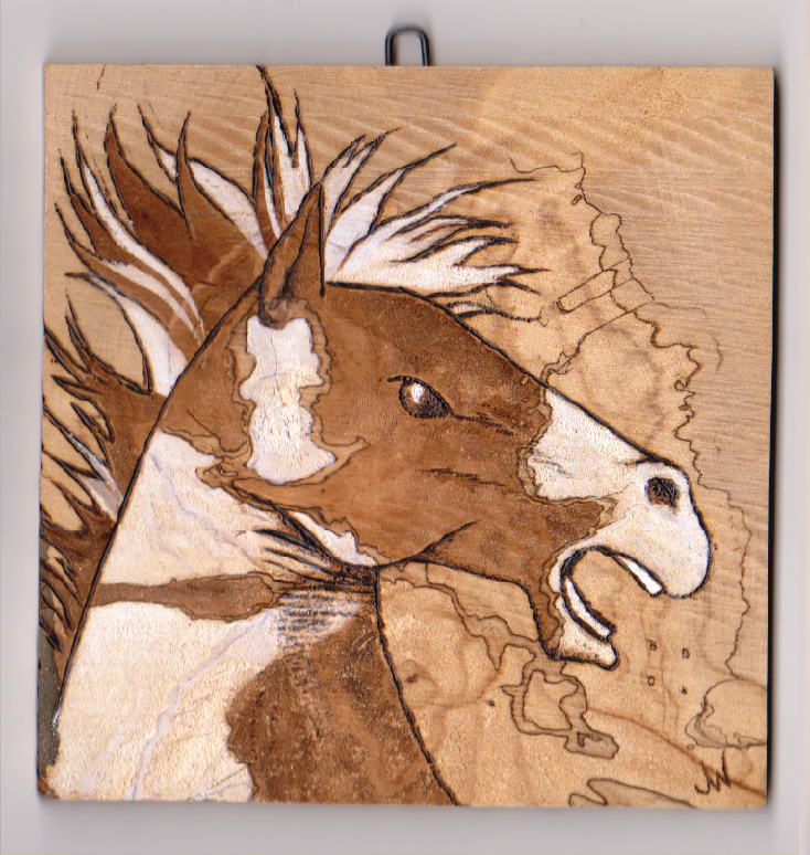 "Wild Mustang I"
