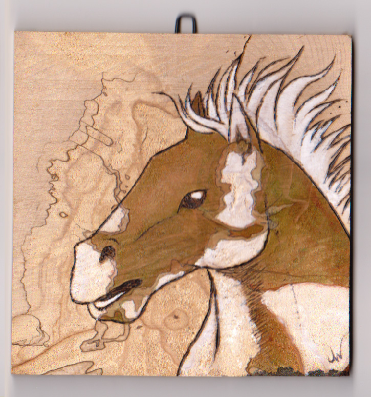 "Wild Mustang II"