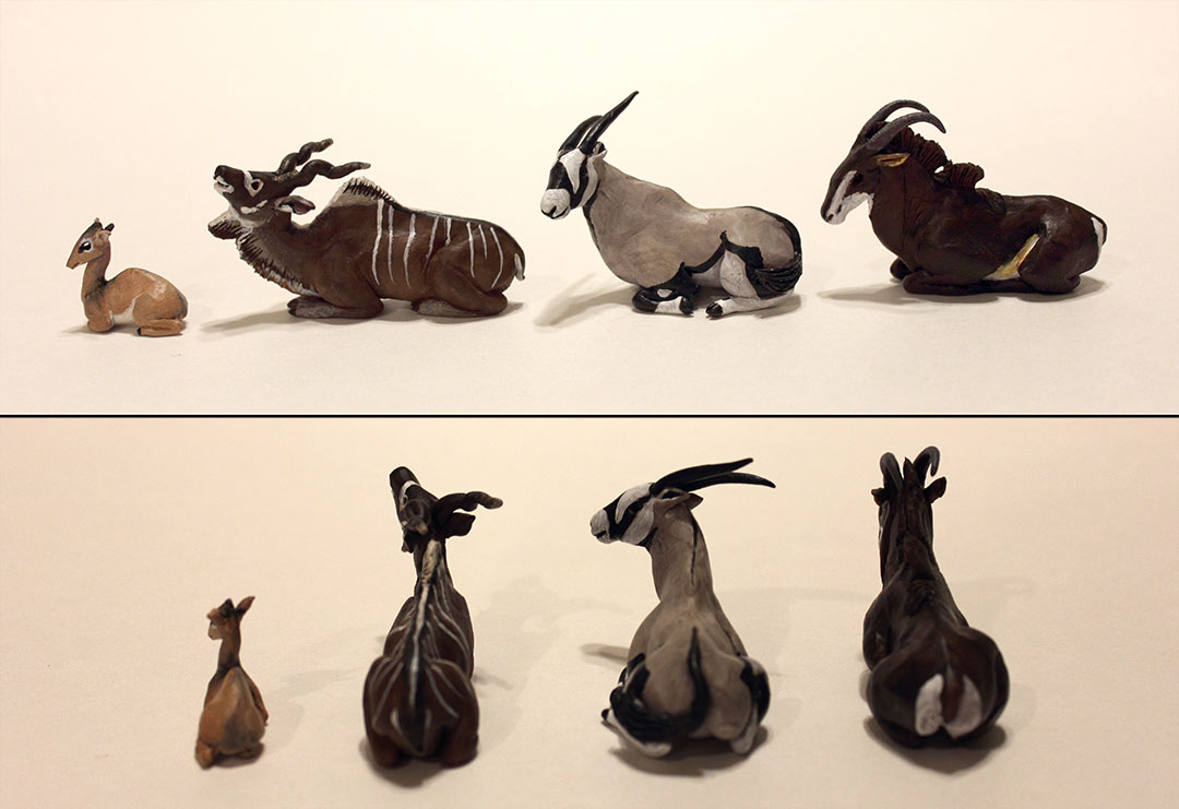 "Little Antelope"