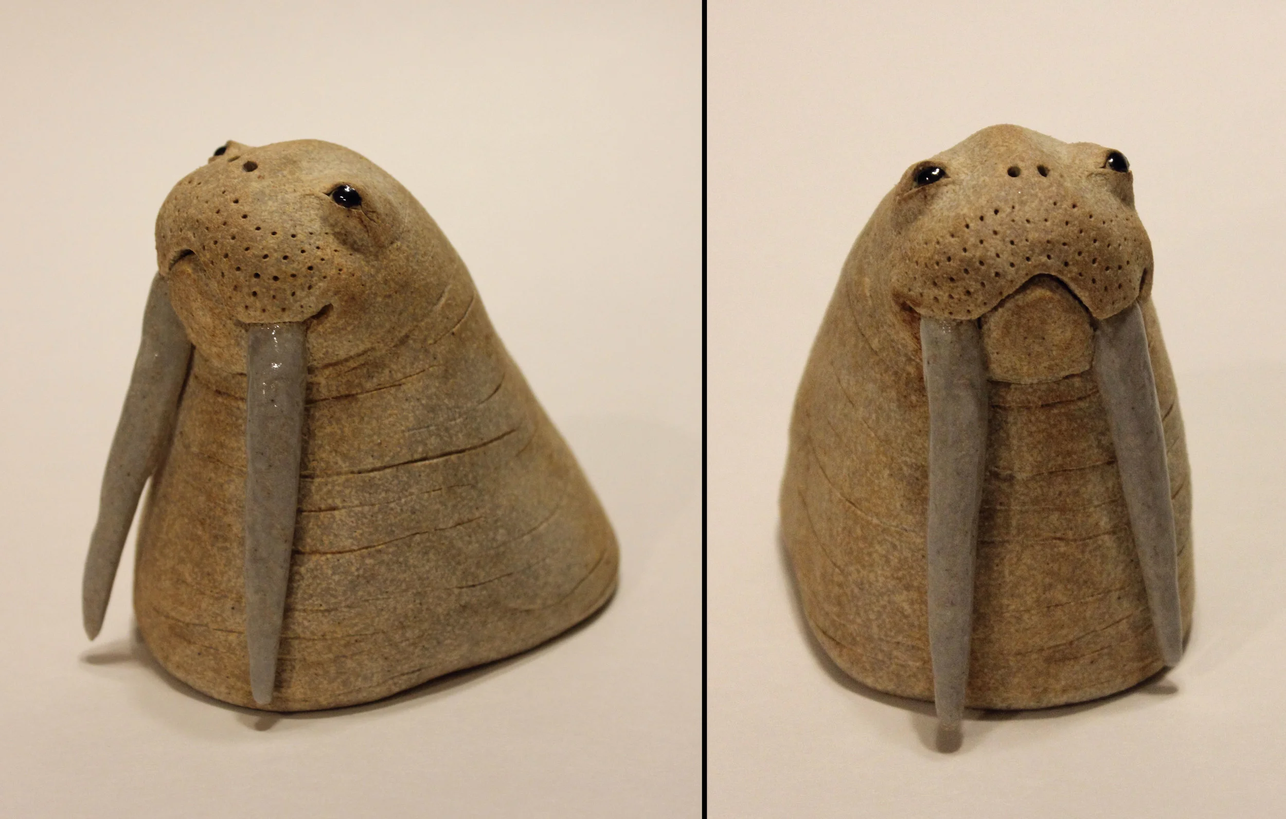 "Walrus"