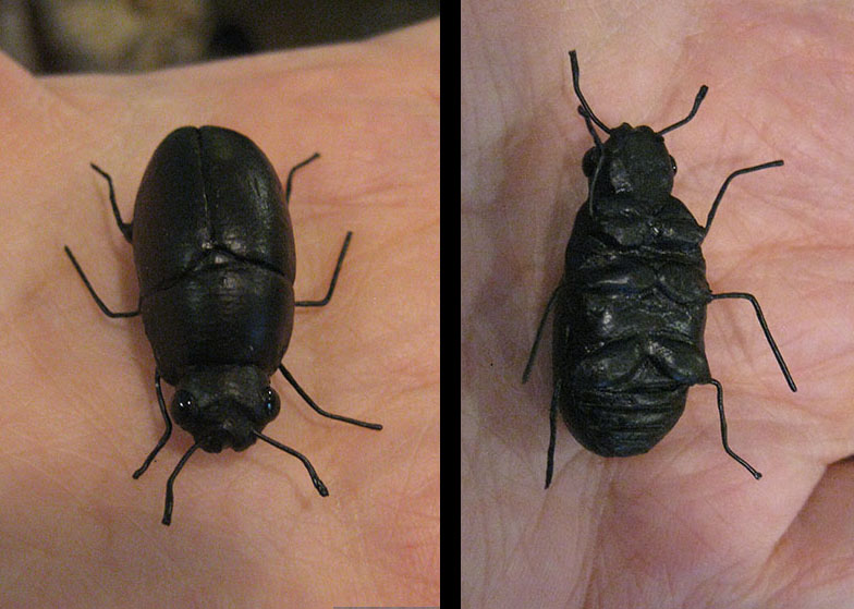 Black Beetle