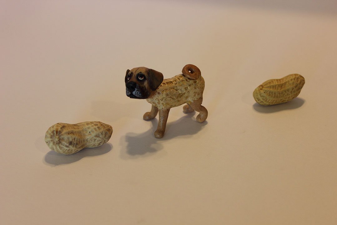"Peanut" the Puggle