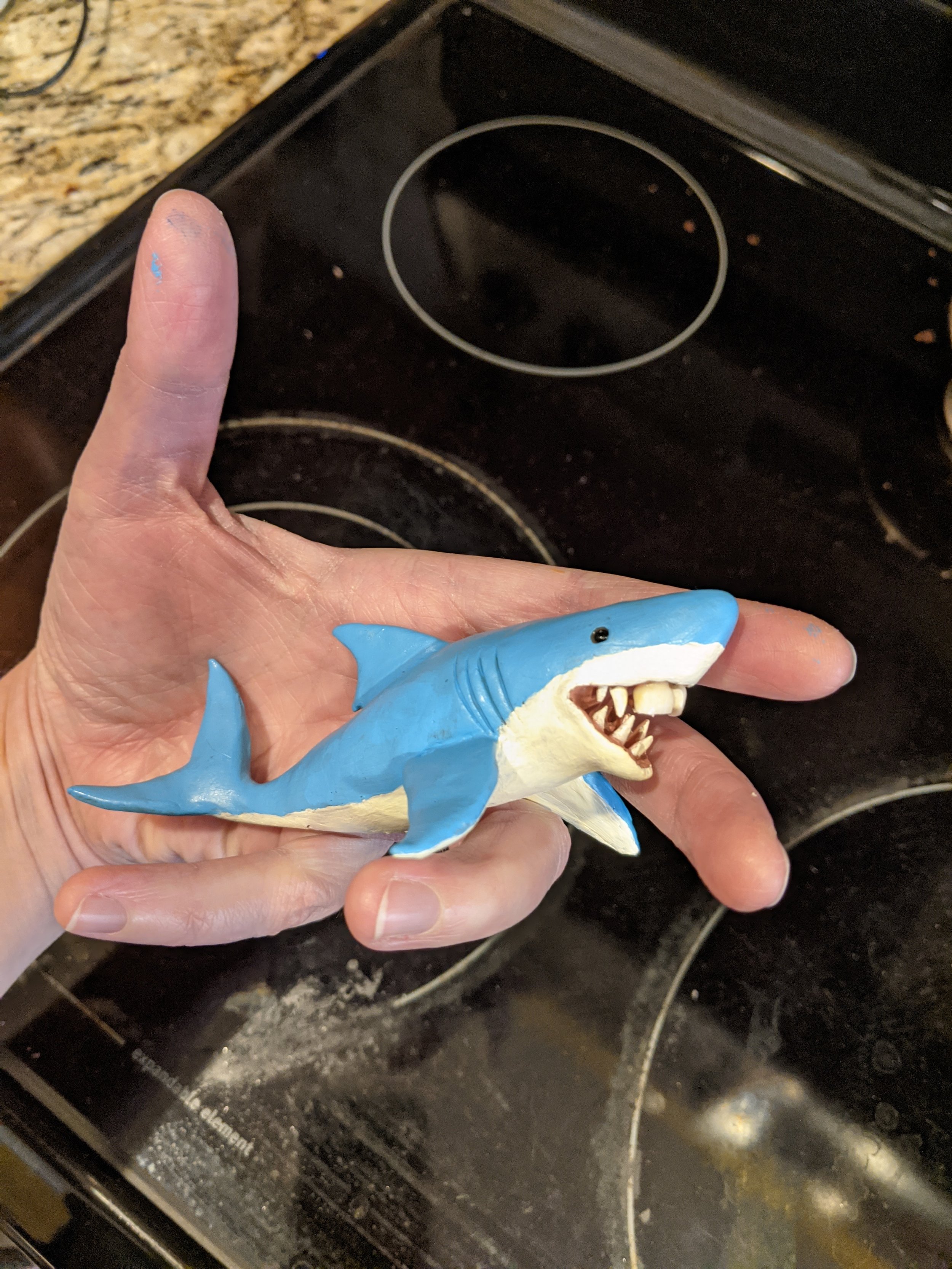 Shark Teeth