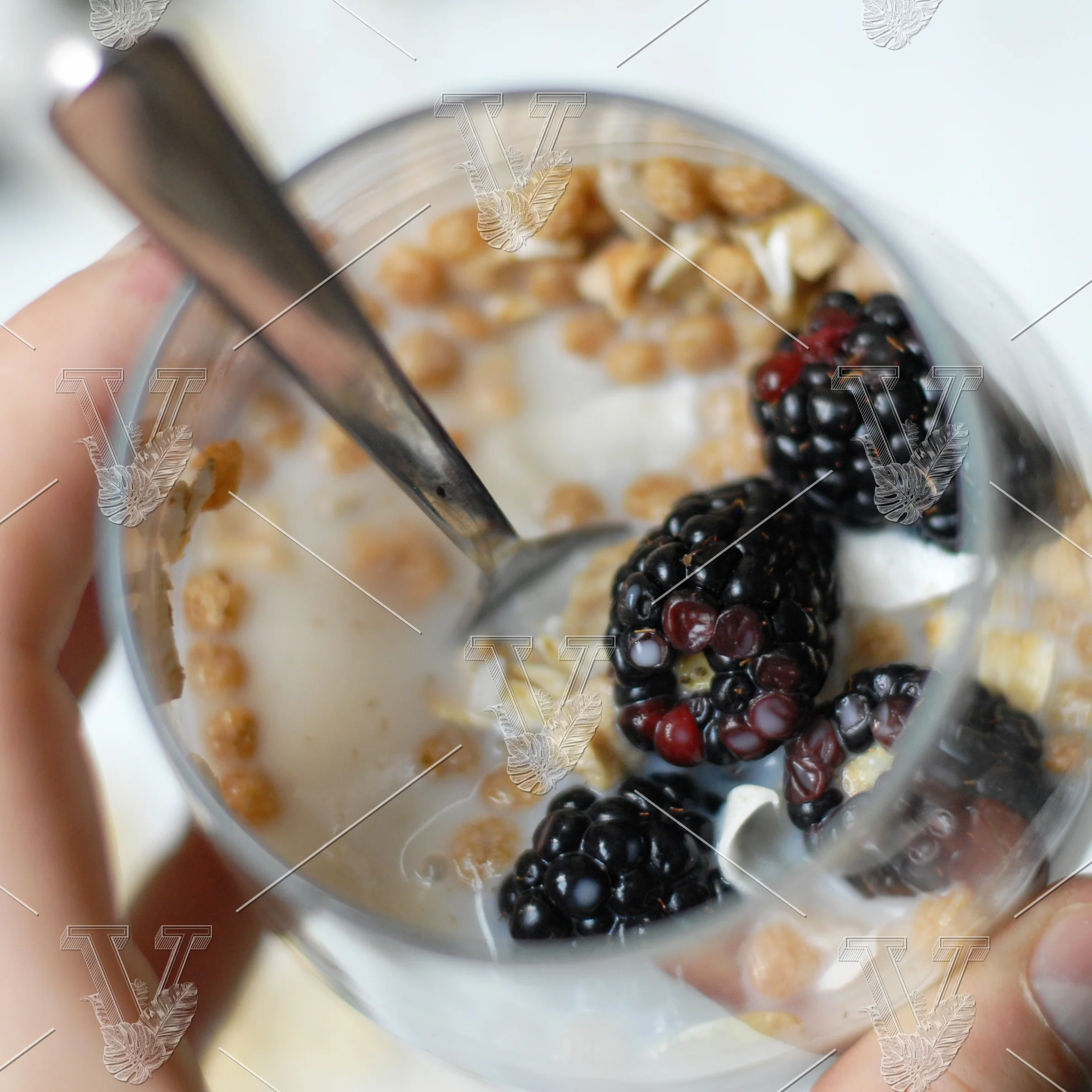 VisualCarbon_Stock_MorningMuesli.JPG