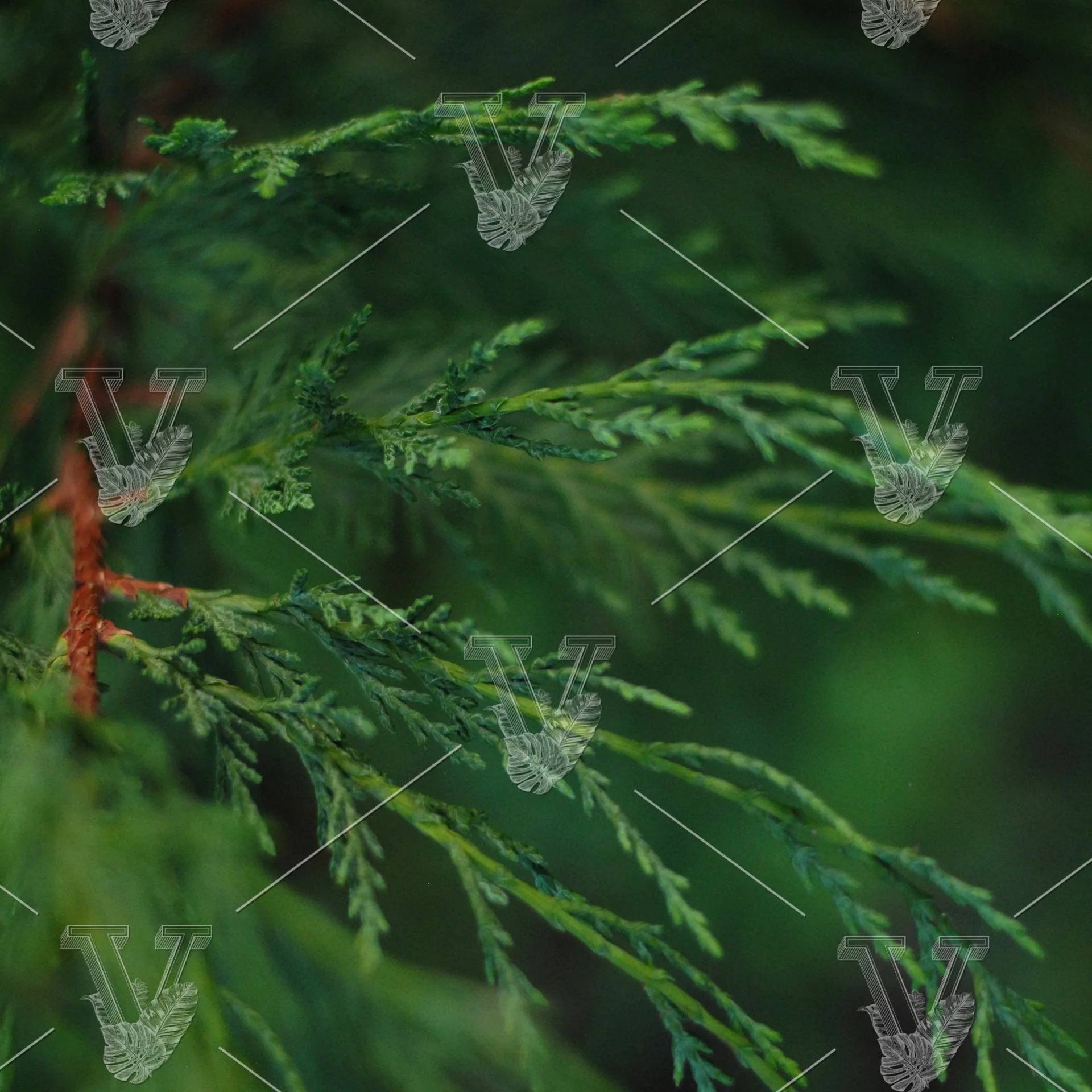VisualCarbon_Stock_HolidayGarland.JPG