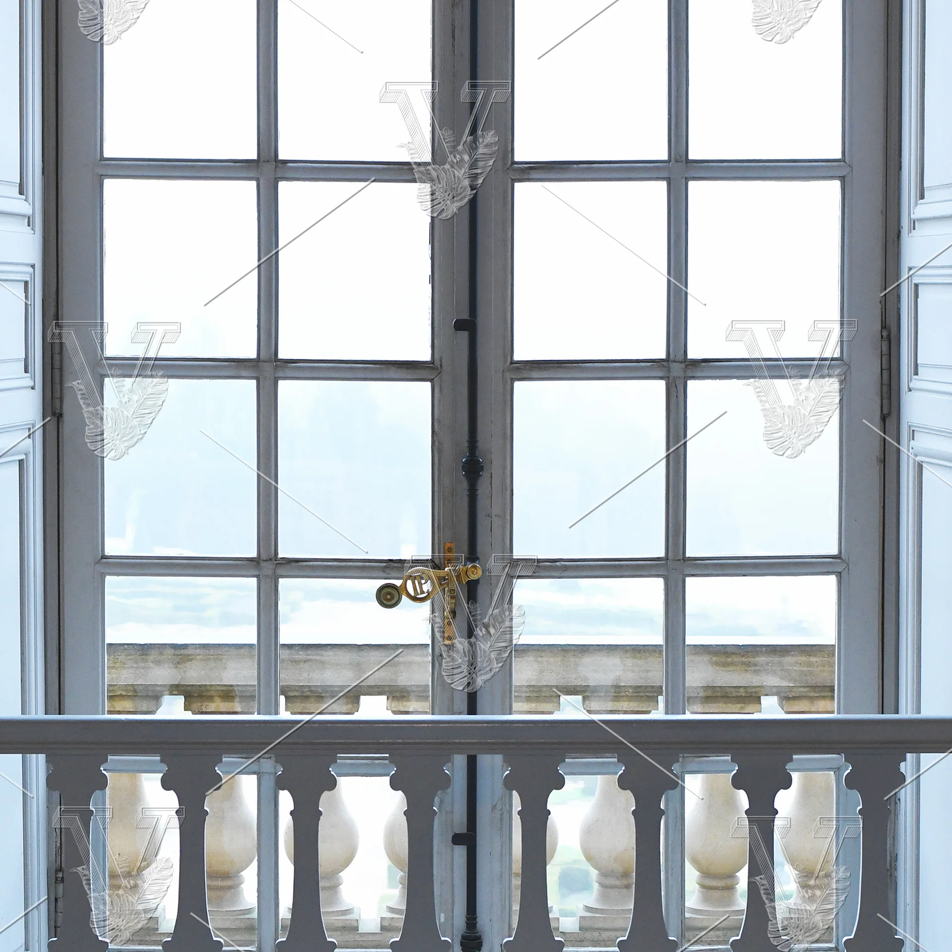 VisualCarbon_Stock_FrenchDoors.JPG