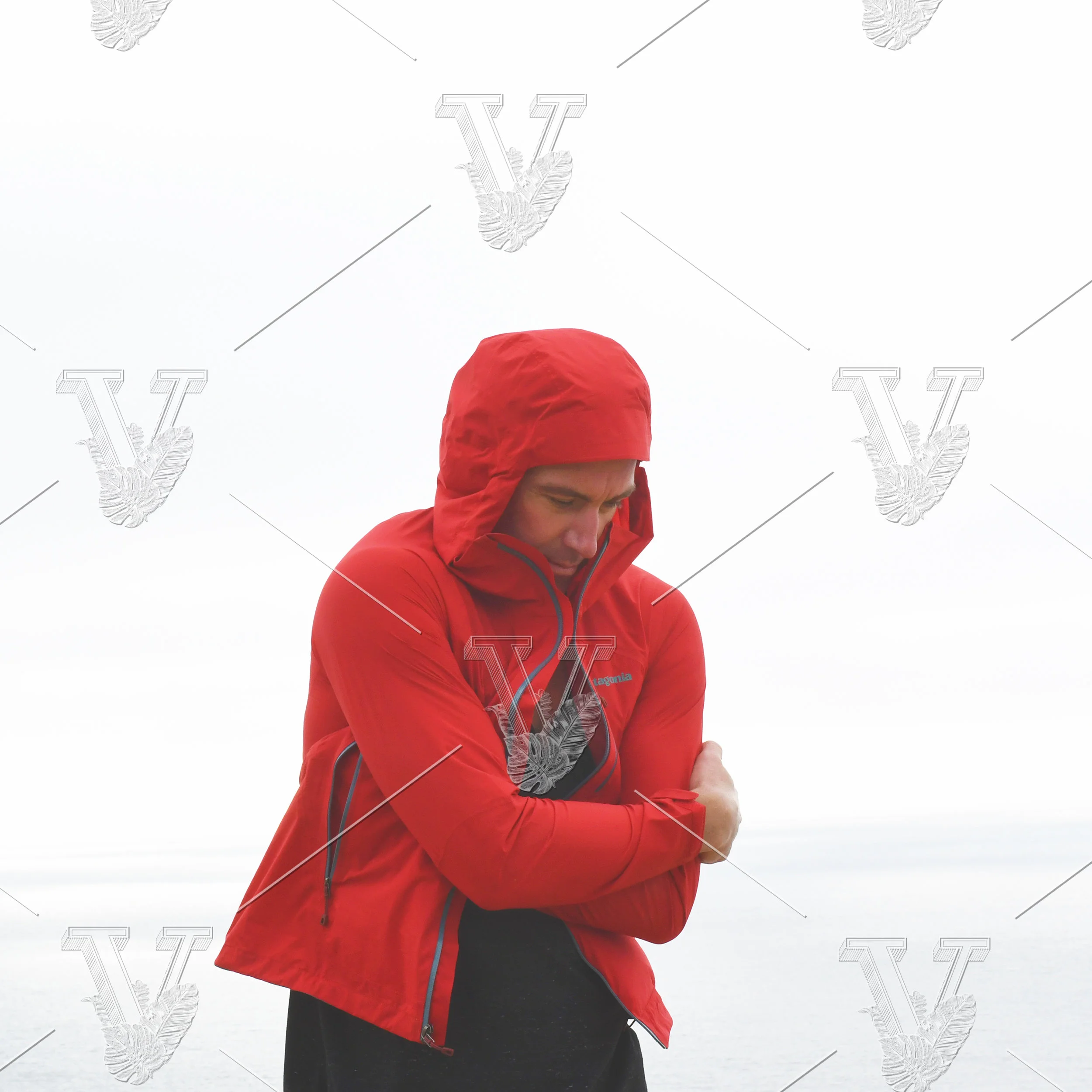 VisualCarbon_Stock_011_2MB.JPG