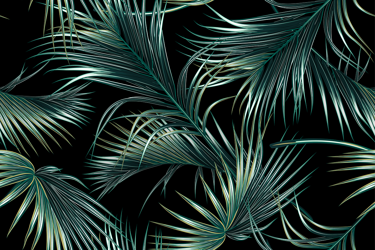 VisualCarbon_Homec.jpg