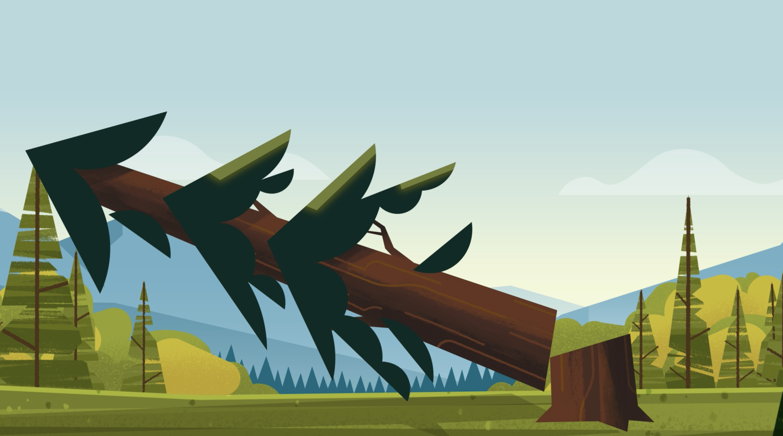 Fallen Tree