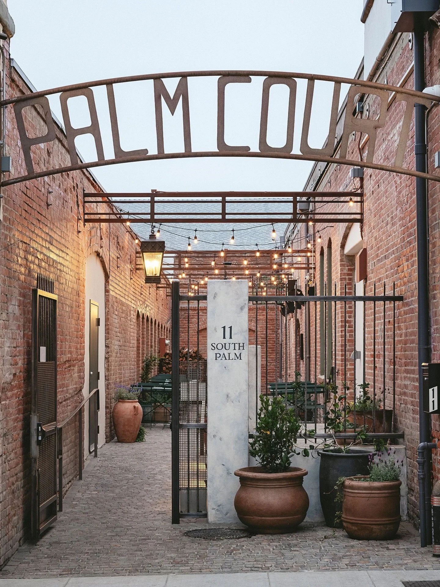 Have you stopped by Palm Court yet? 
Inside you’ll find Pinyon Ventura, a neighborhood restaurant bringing the community together through wood-fired cookery, sourdough baking, and minimal-intervention wines. 🍷🥖 
A space built by NLP for con