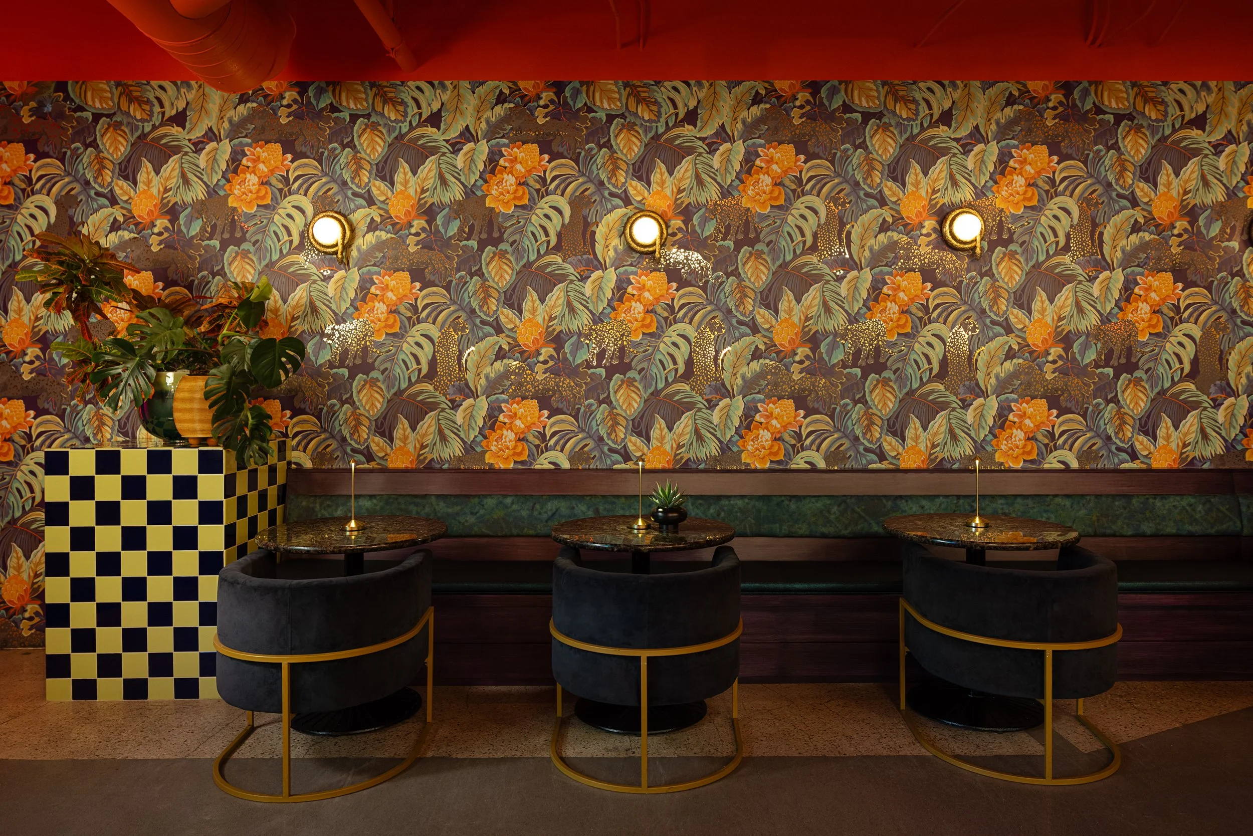 Feinblatt_20250203_0007_WEB ONLY.jpg