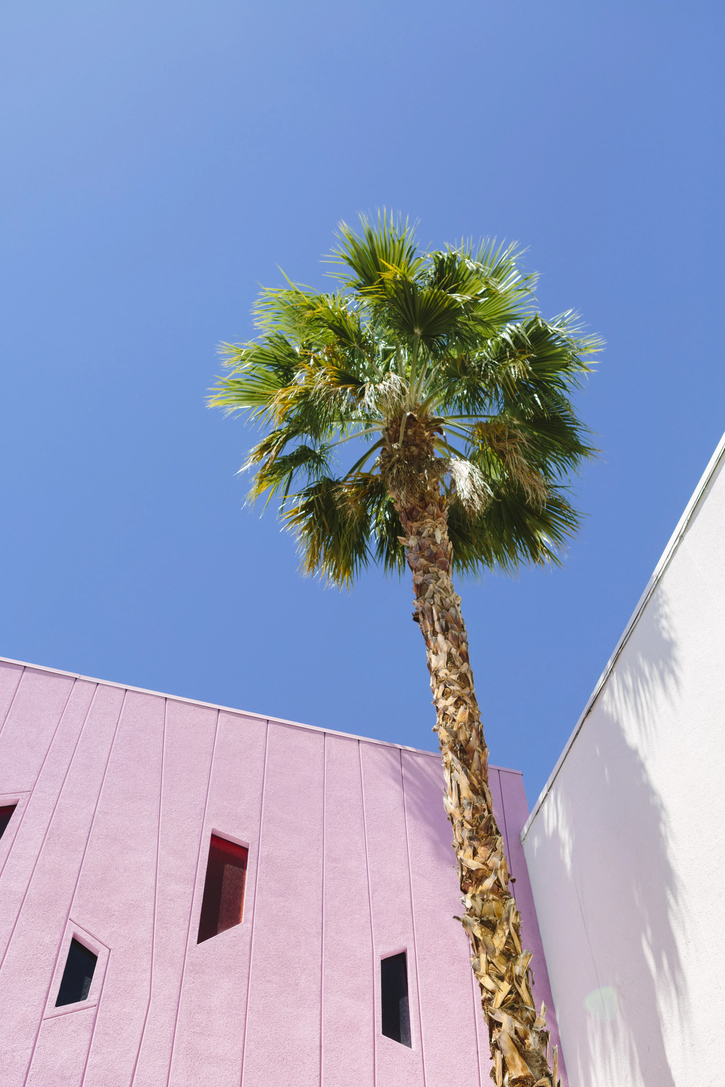 SW_Palm_Springs_051.jpg