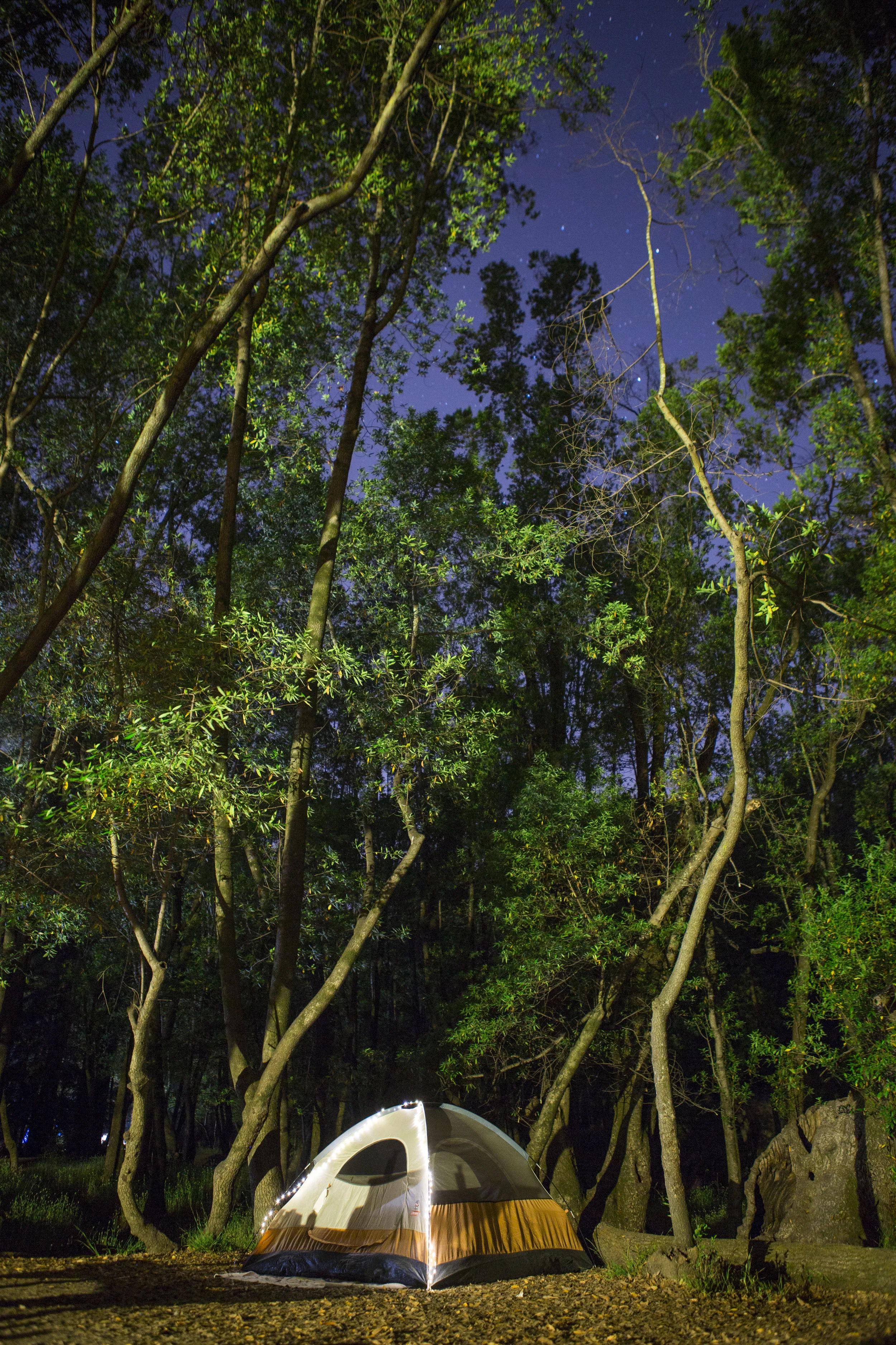 nightime_001.jpg