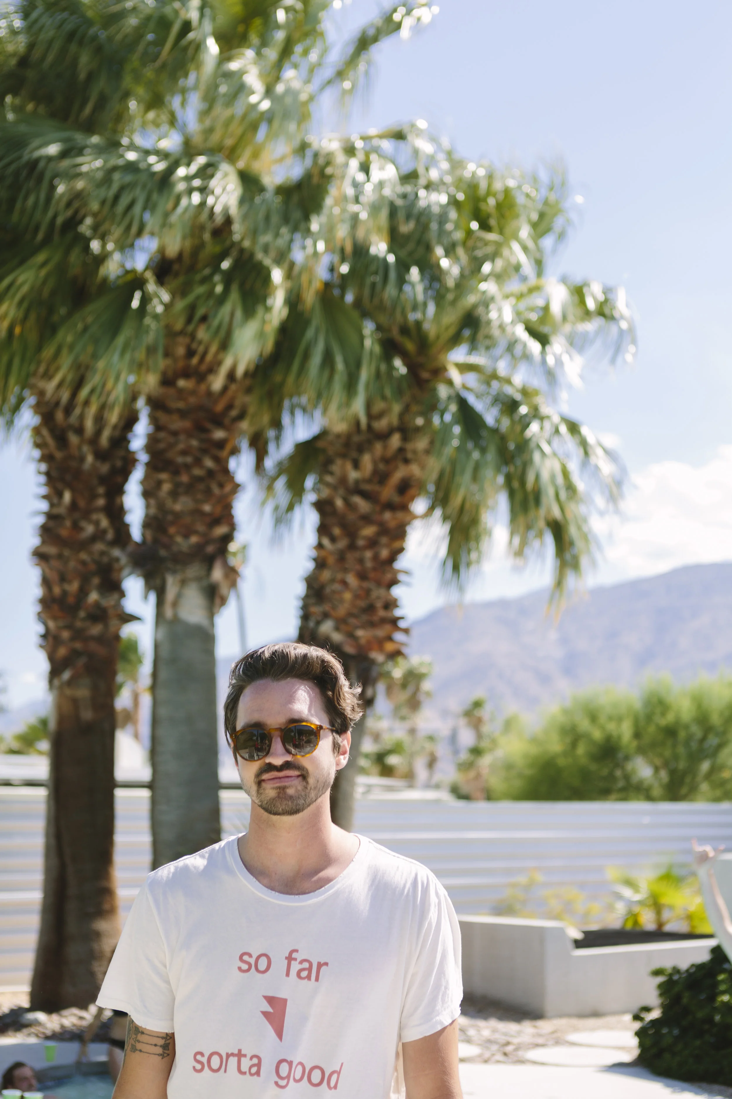 palmsprangs_008.jpg
