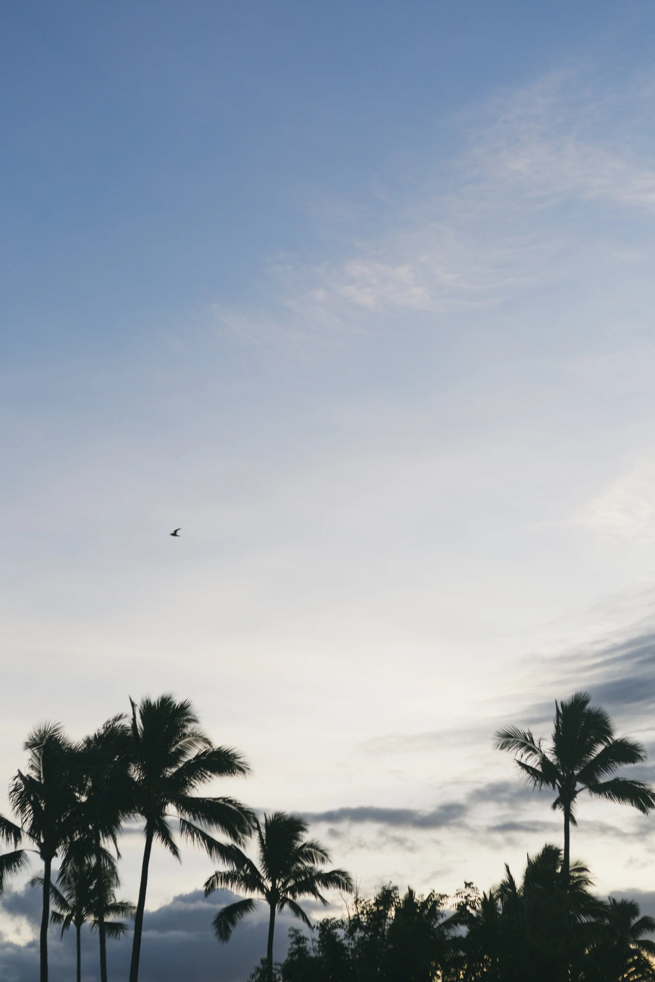 HAWAII_DAY_1_027.jpg