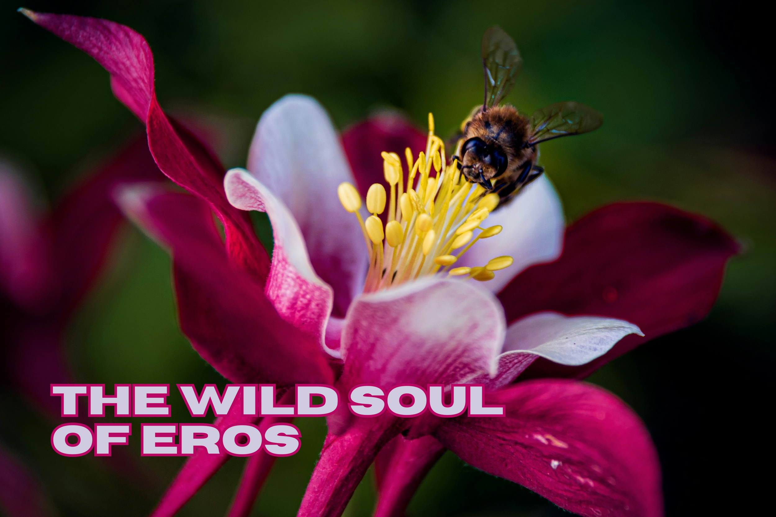 The Wild Soul of Eros