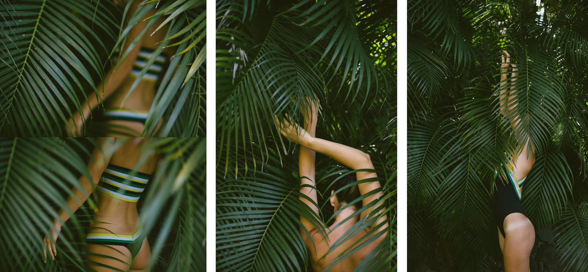 160103_FAR_0802 copy8.jpg