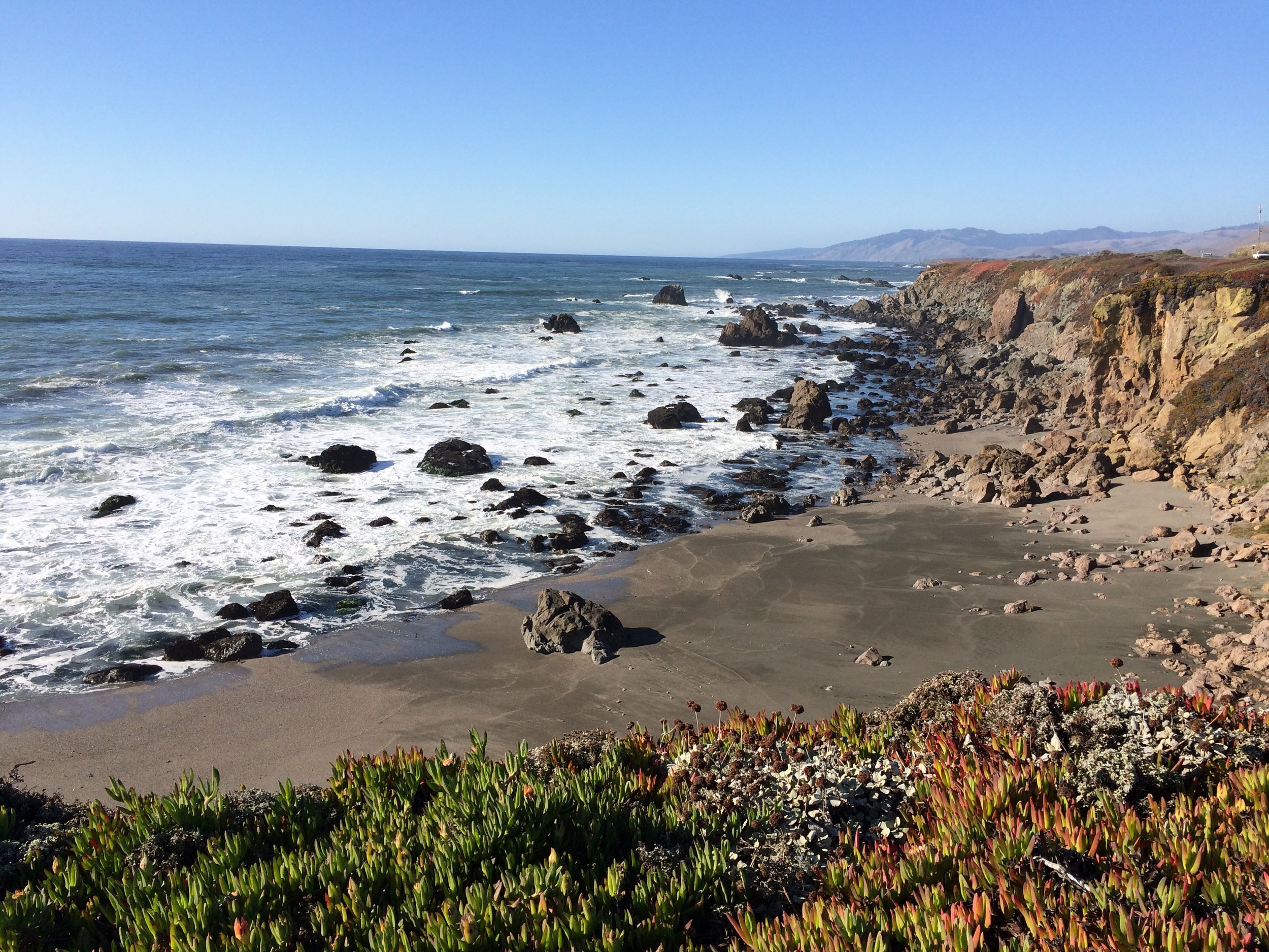 Intertidal Beach.JPG