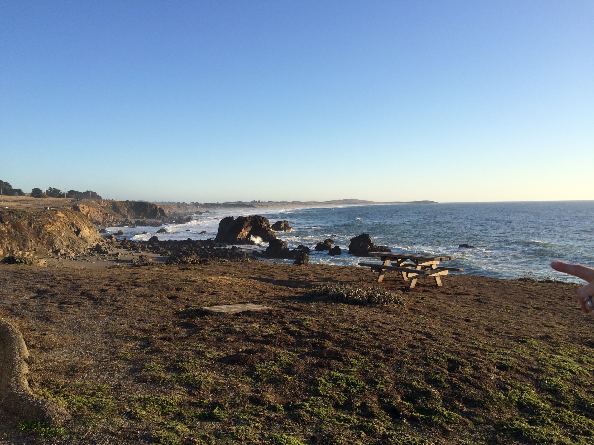 Intertidal Coast.JPG