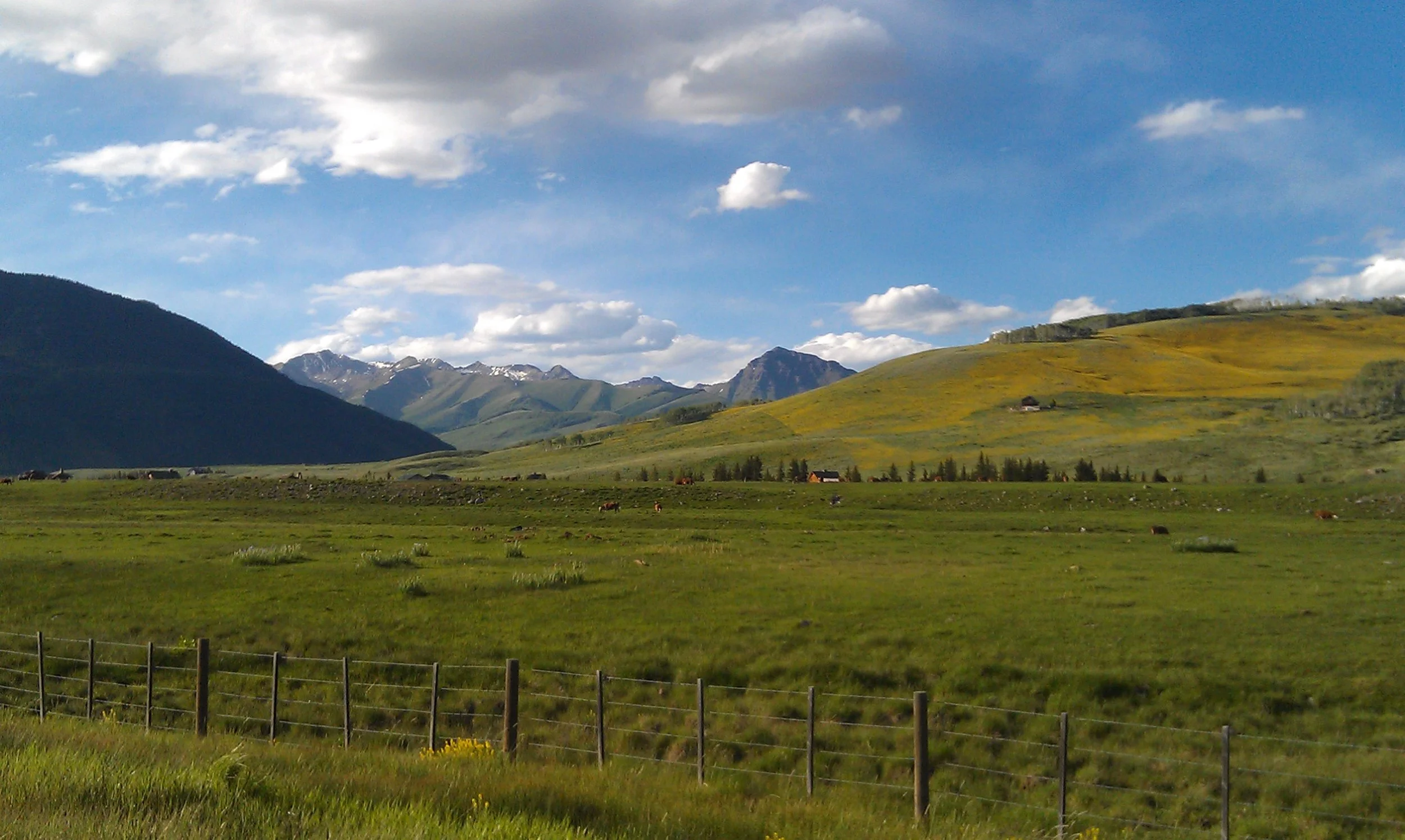 IMAG0568.jpg