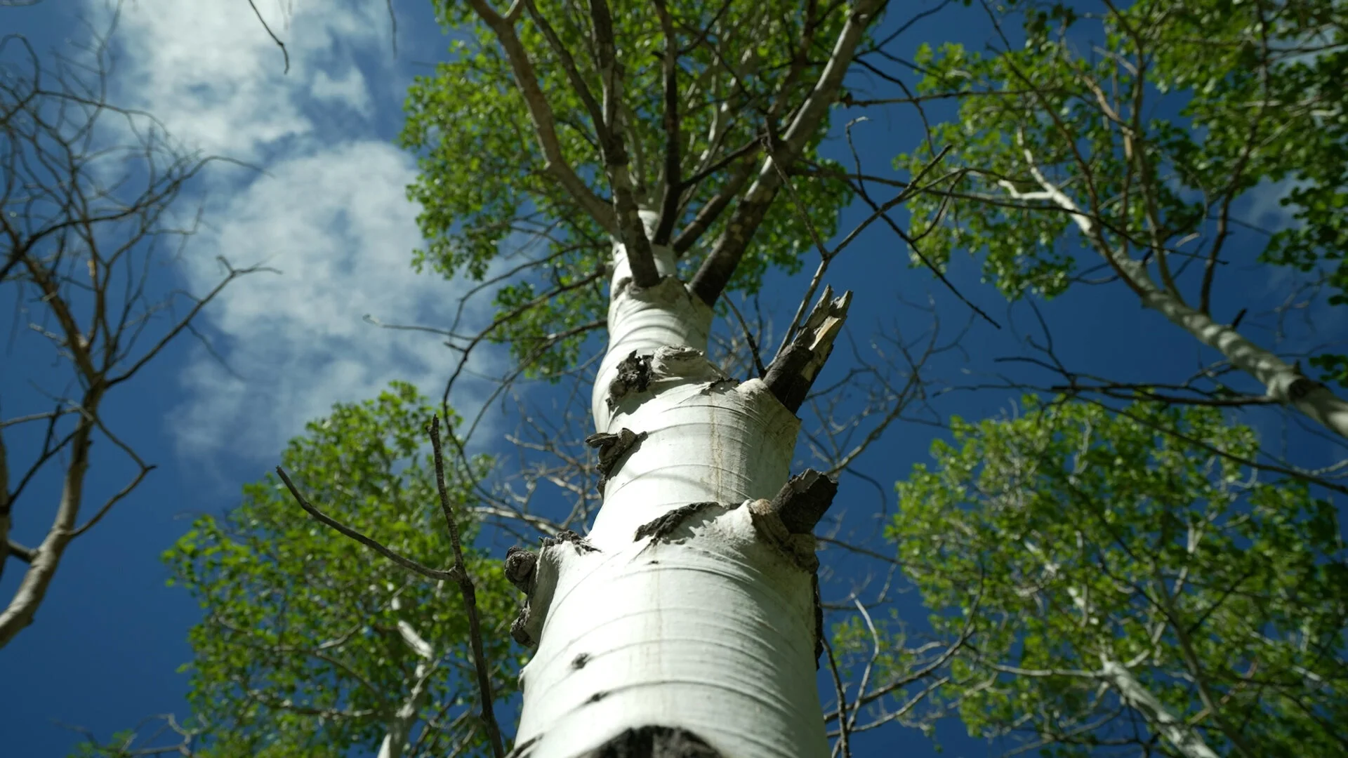 FGP_home-page_banner_fallback-image.jpg