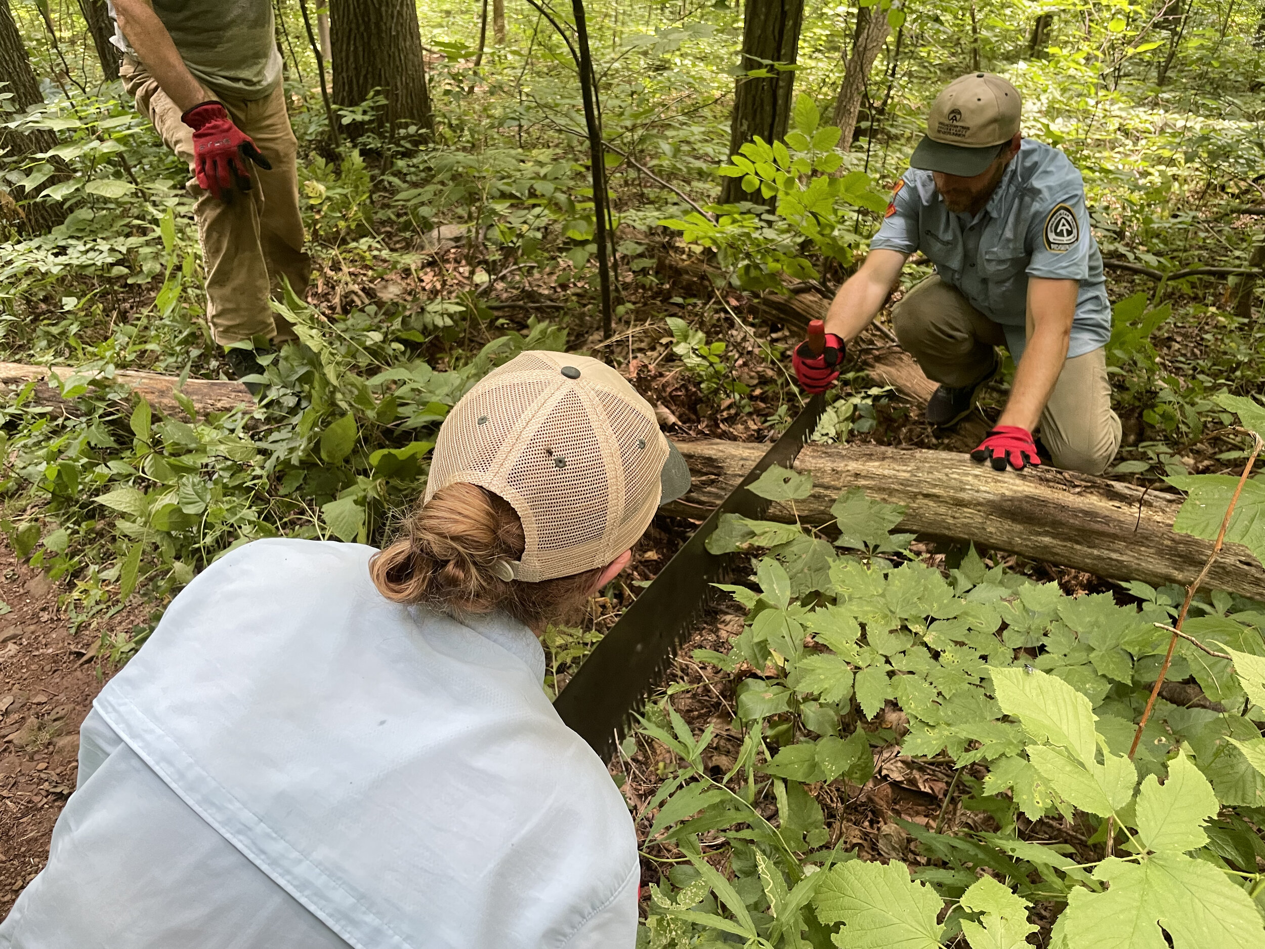 Taking down blowdowns with a cross-cut saw, photo by Jim Fetig