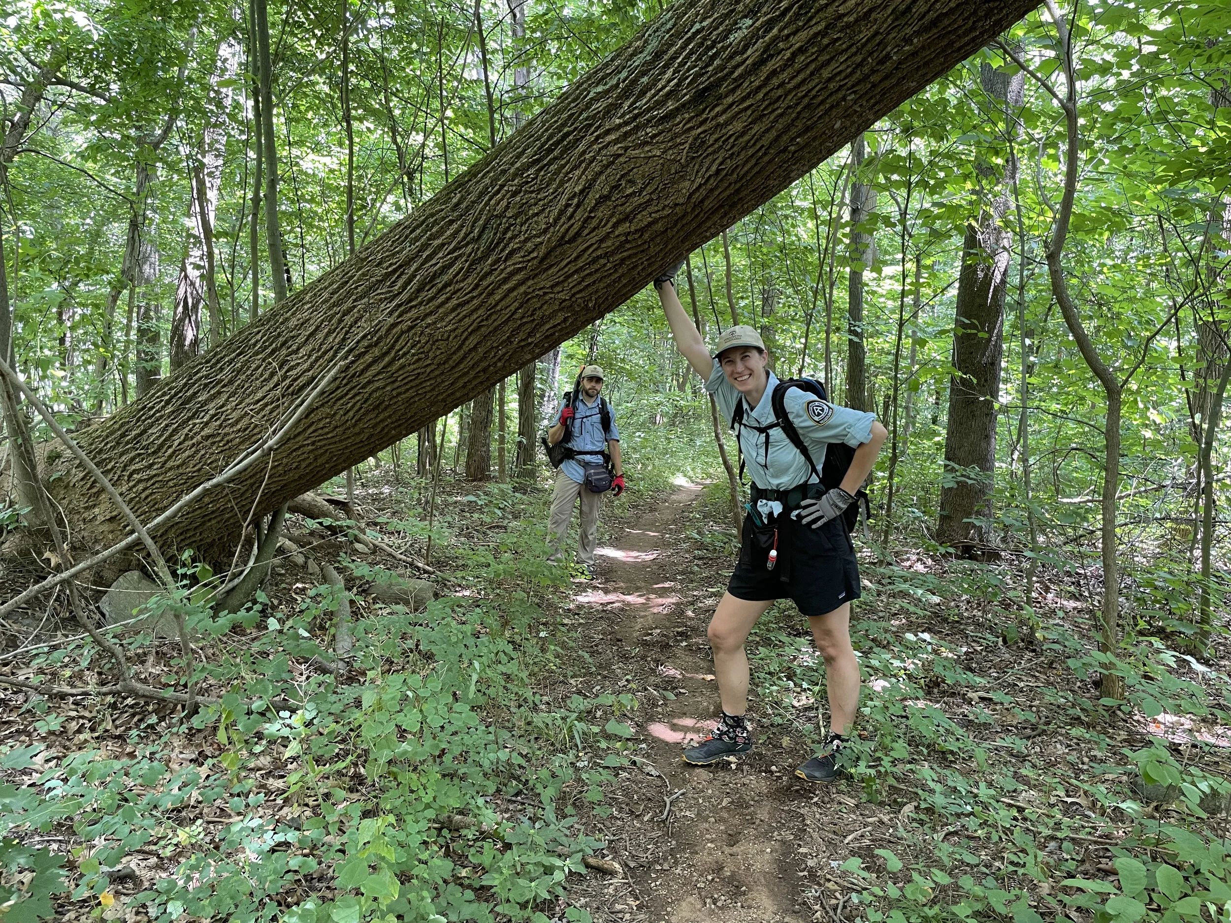 Ridgerunners doing trail work, photo by Jim Fetig