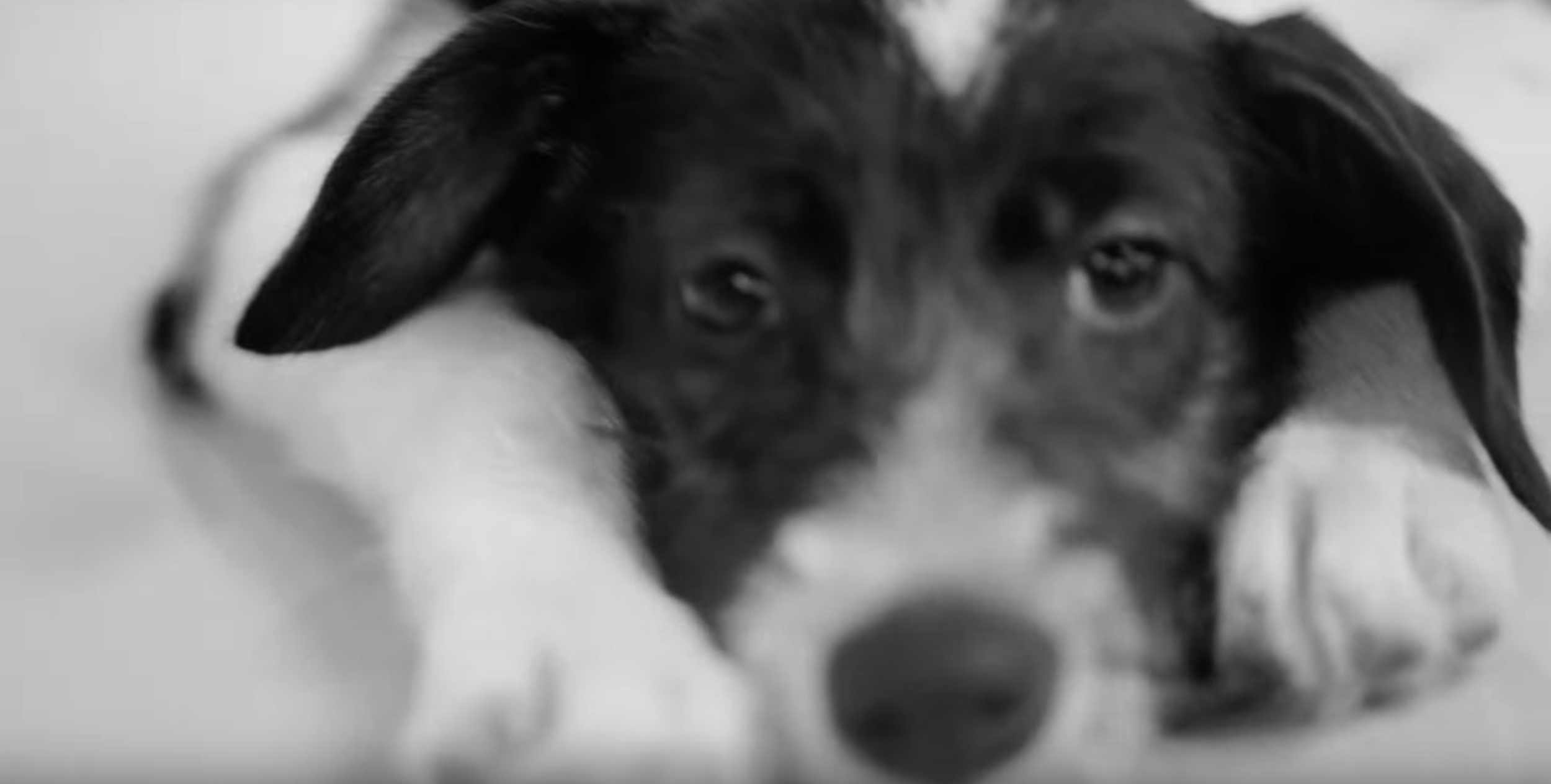 Screen Shot 2018-04-10 at 4.24.27 PM.png