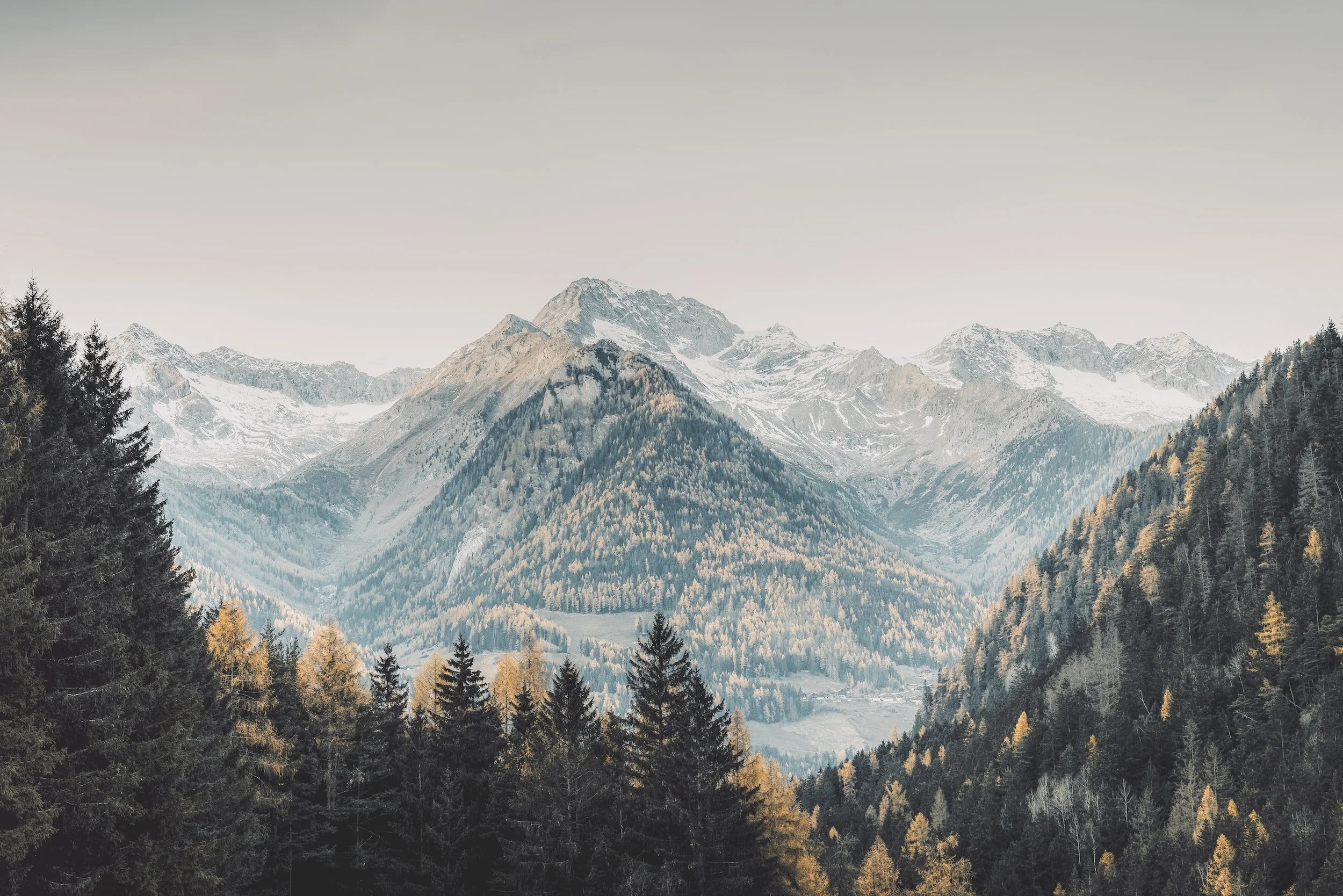 unsplash-image-IkXtNWhJMrs.jpg