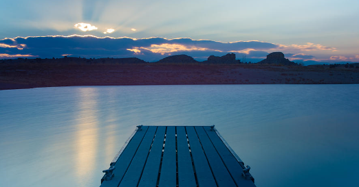 Finding Quiet in the Chaos 