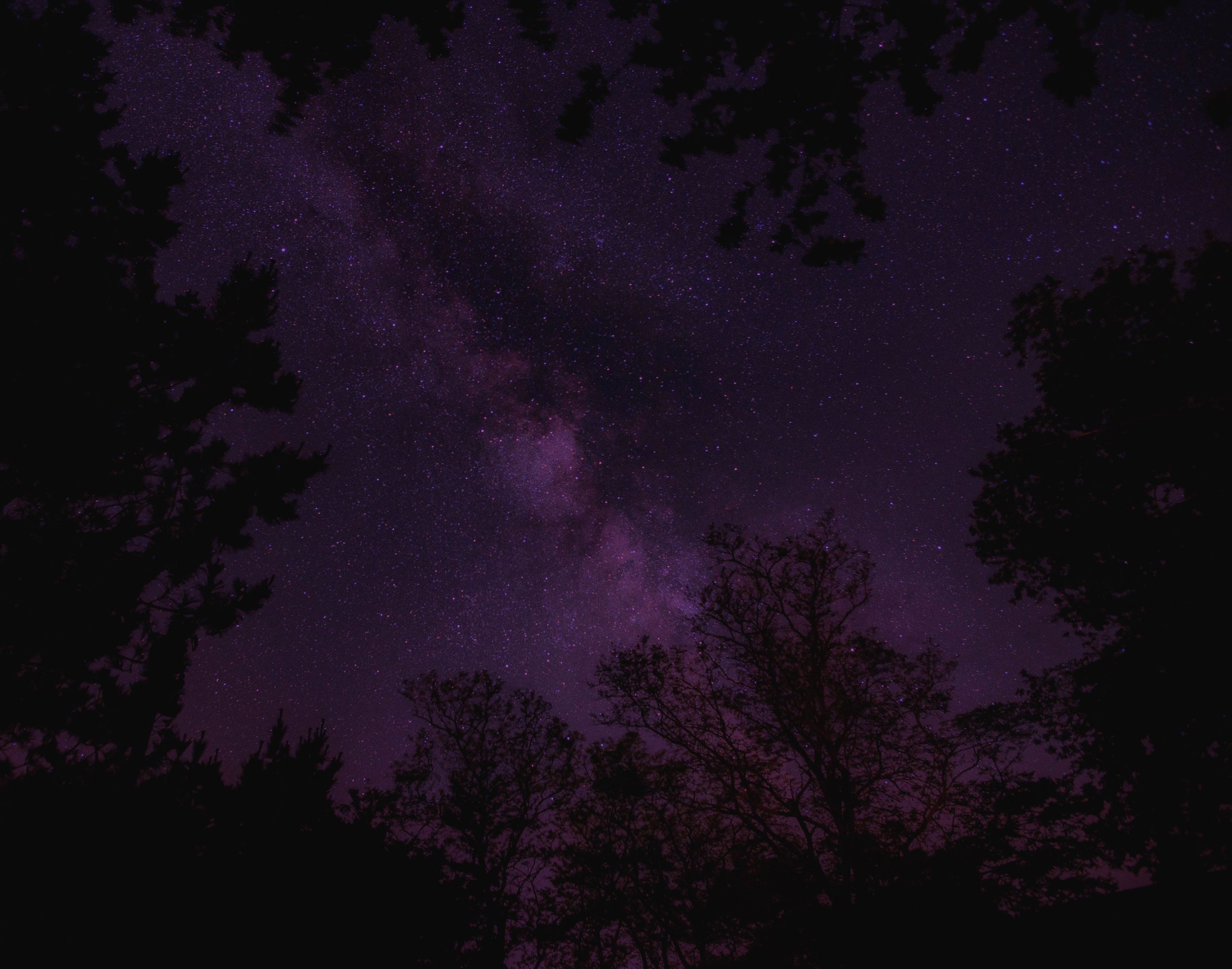 nathan-anderson-291067_purp_sm.jpg