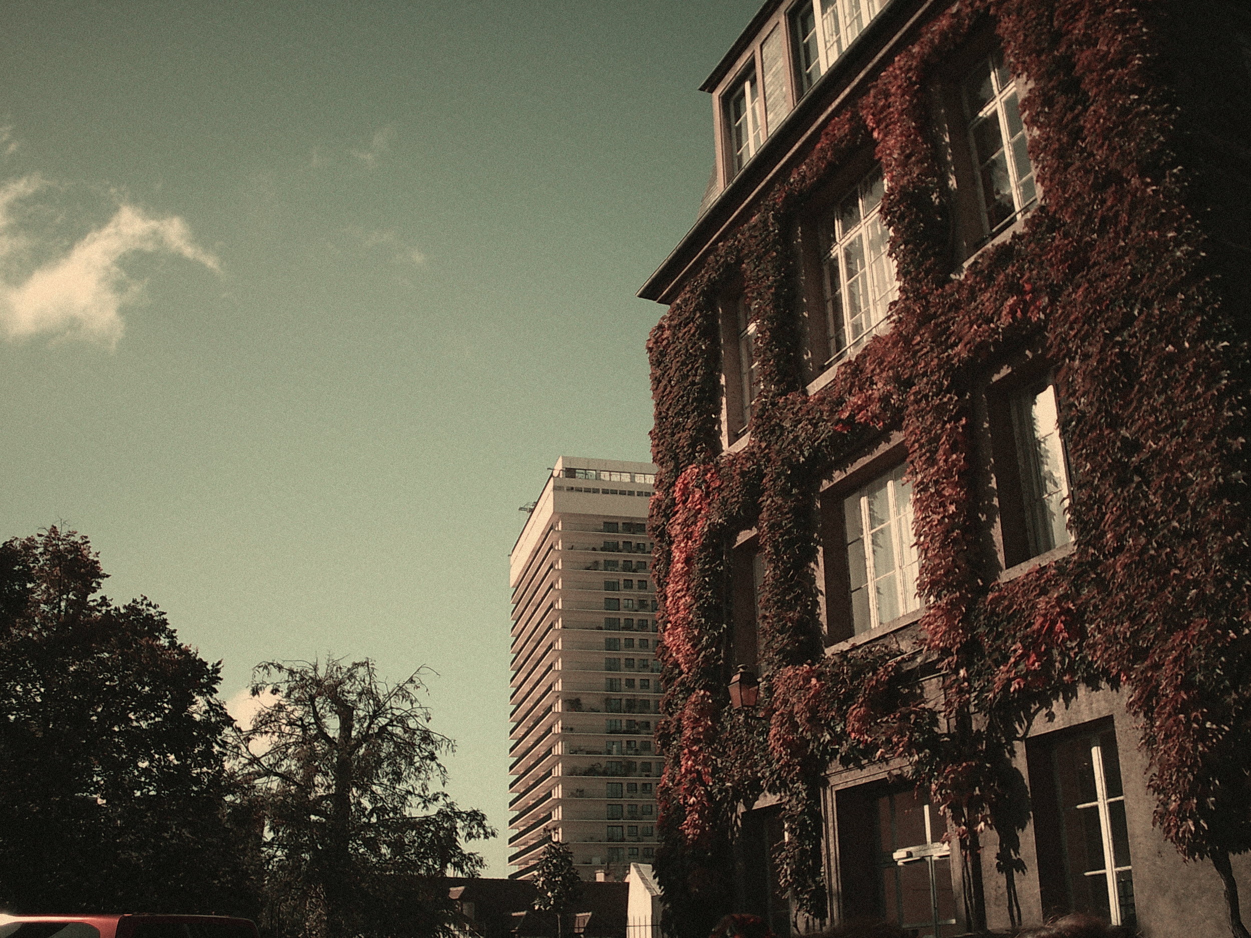 Y35_0017.JPG