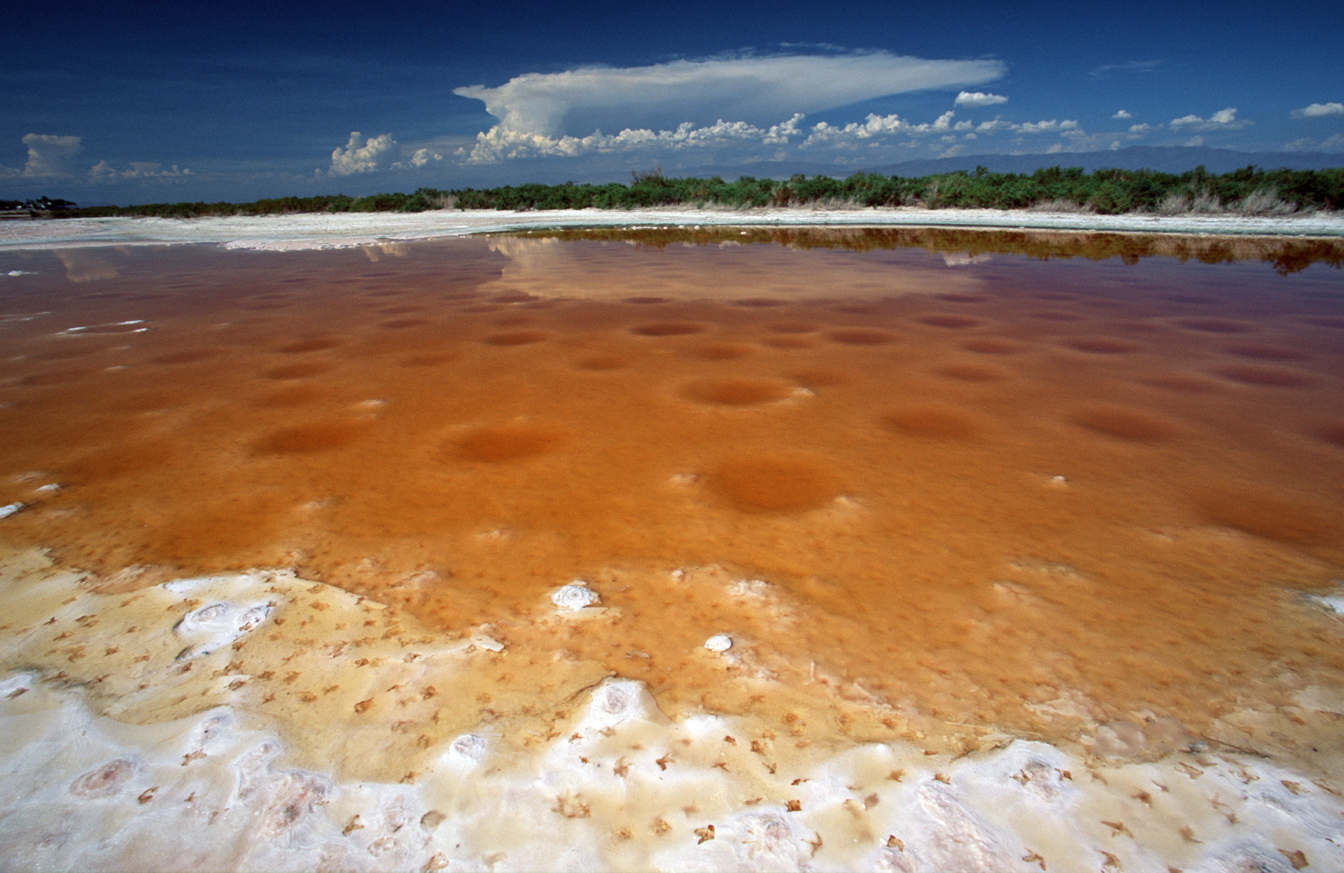  The Salton Sea, the largest body of water in California, is troubled by increased salinity.  Salton Sea, California  