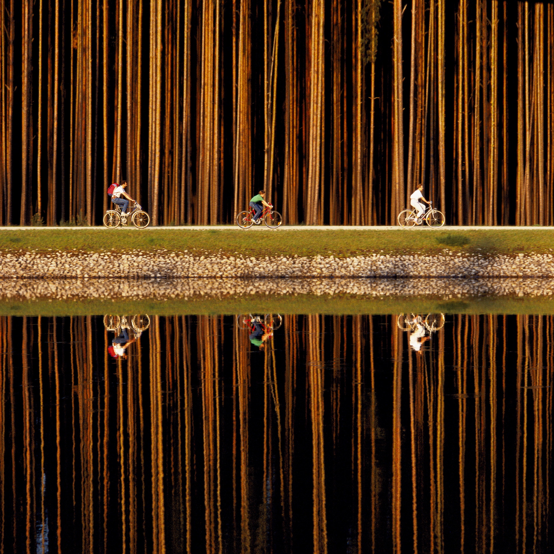  Cyclists along the Main-Danube canal.  Near Nürnberg, Germany  