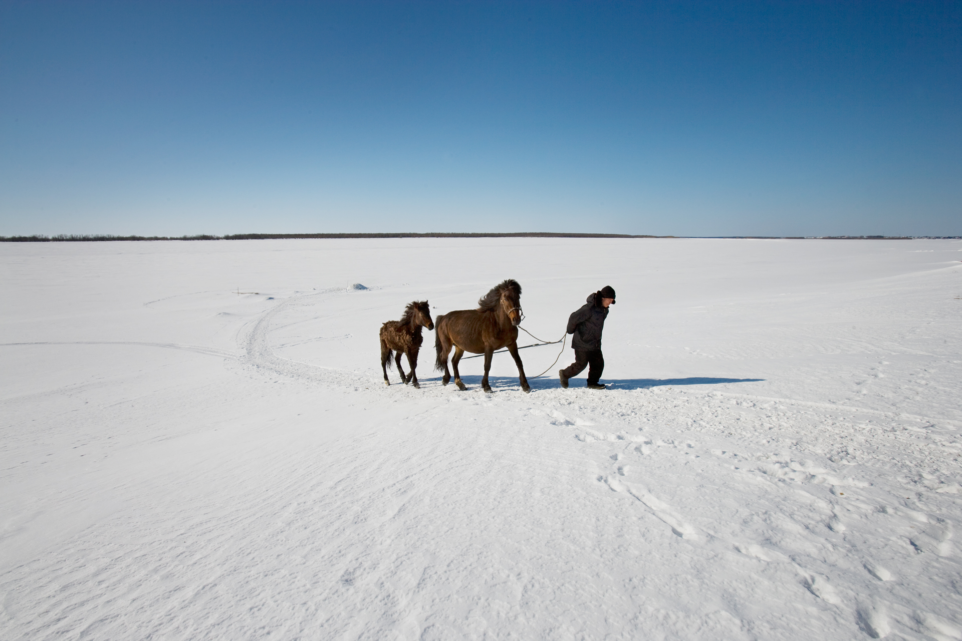  Near the Khanty village of Dyomino, Gena Navyukhov walks his horses across the frozen Northern Sos’va River.  Khanty-Mansiysk Region, Russia  