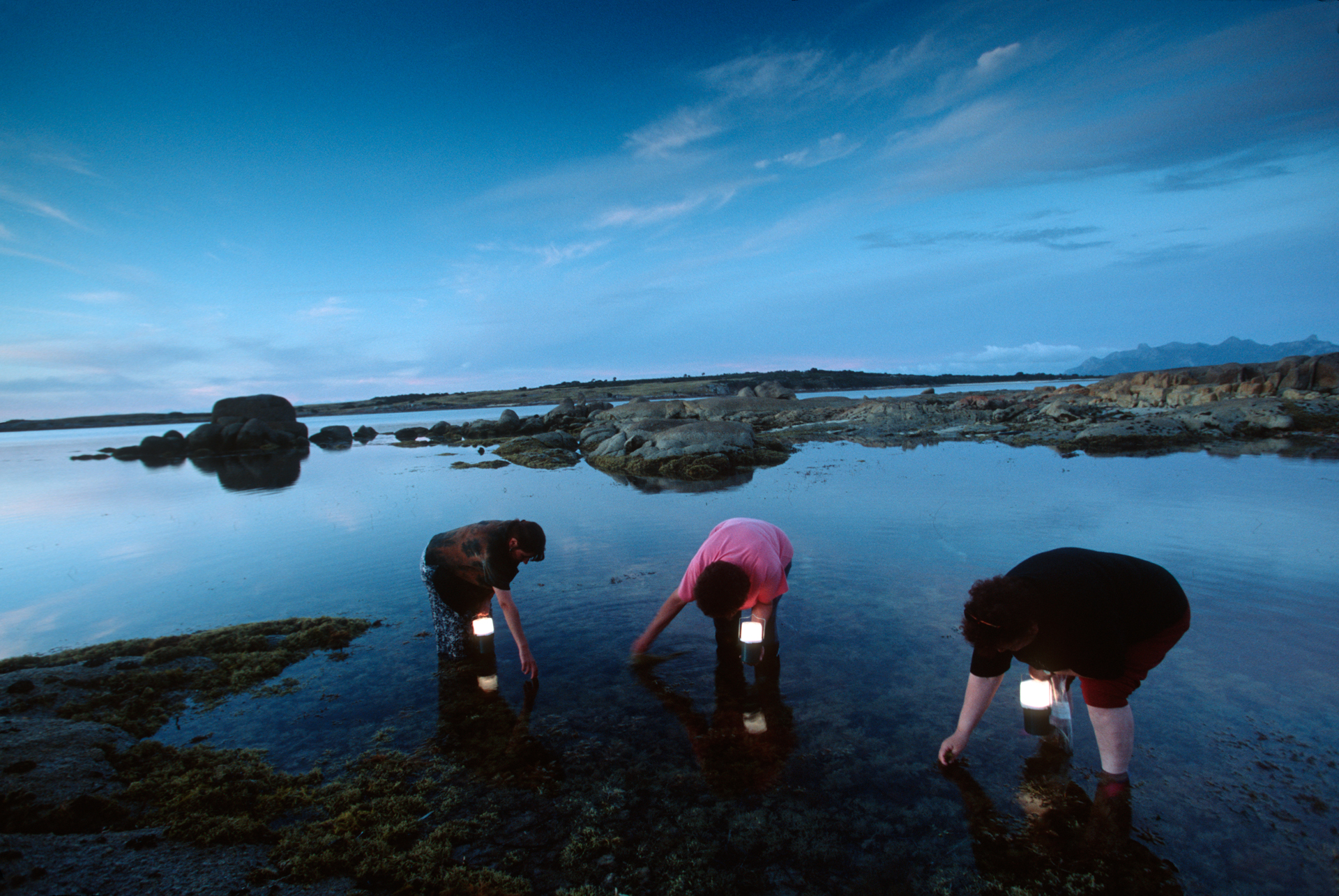  With handheld lamps atdusk, aboriginal artist Lola Greeno and two of her friends collect tiny seashells for traditional aboriginal necklaces.  Cape Barren Island  