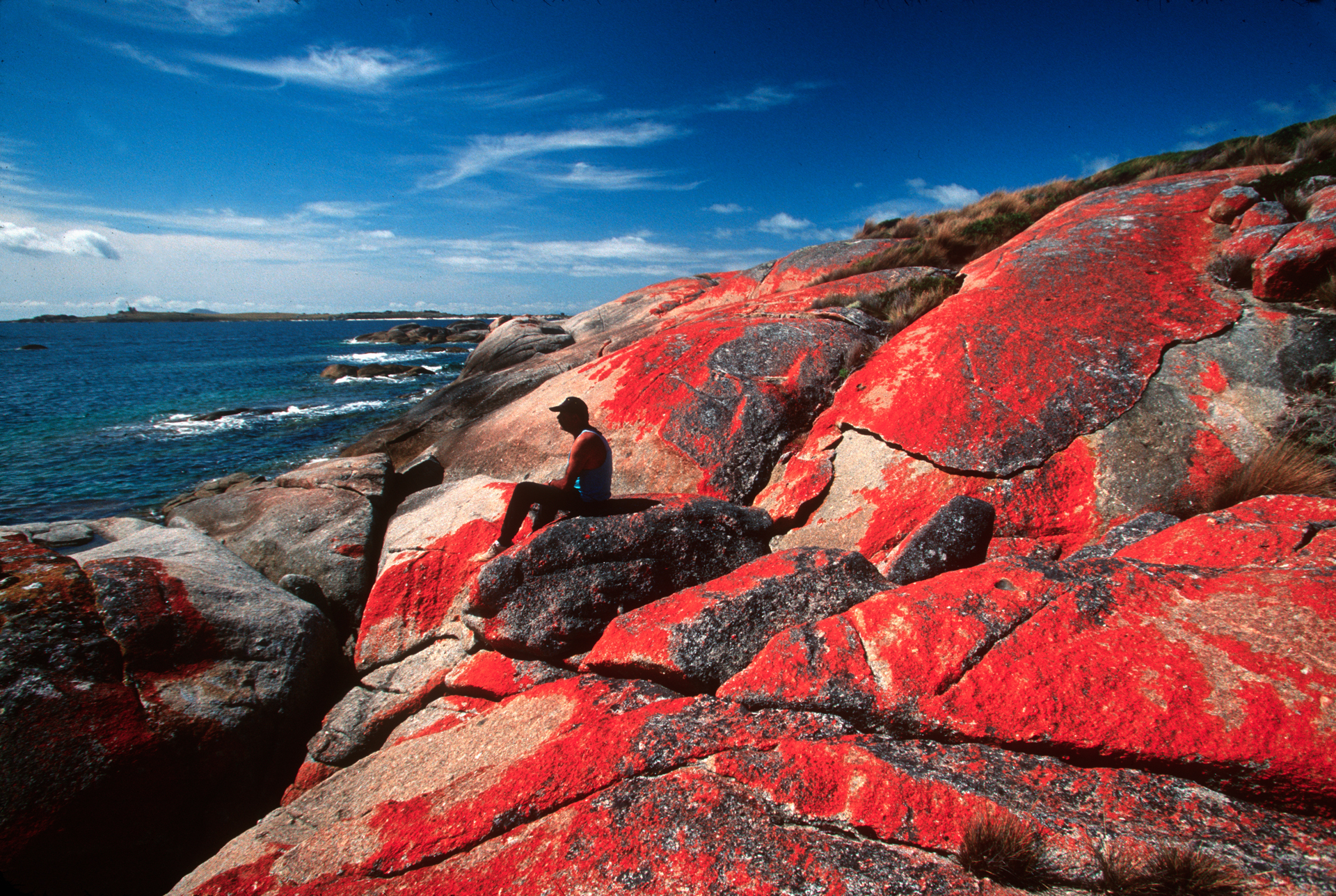 An aborigine inhabitant of ‘The Corner’ relaxes on a coastal rock covered by blooming lichen.  Cape Barren Island  